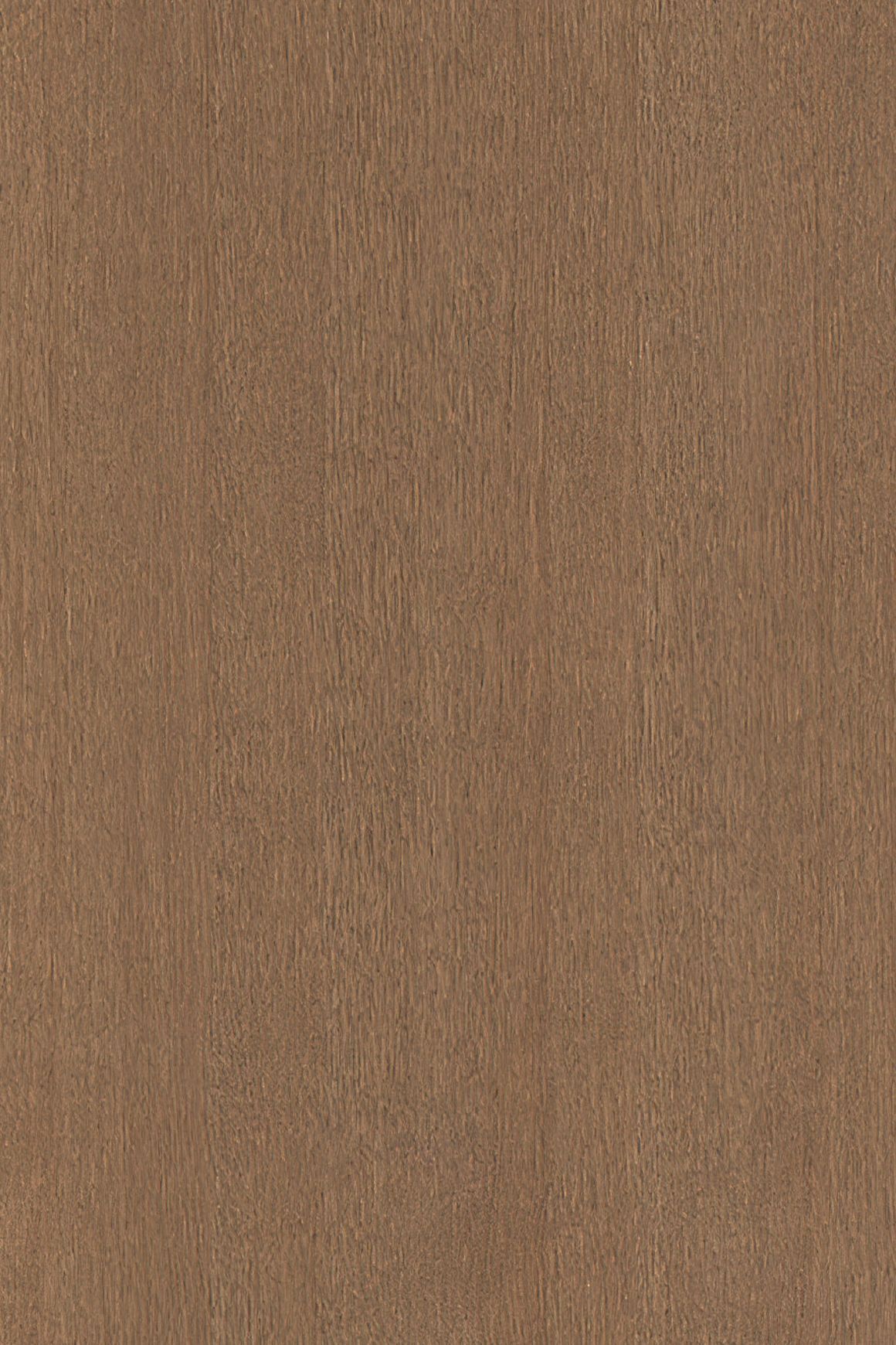 HW31006 Bayonne 19mm Timber Veneer