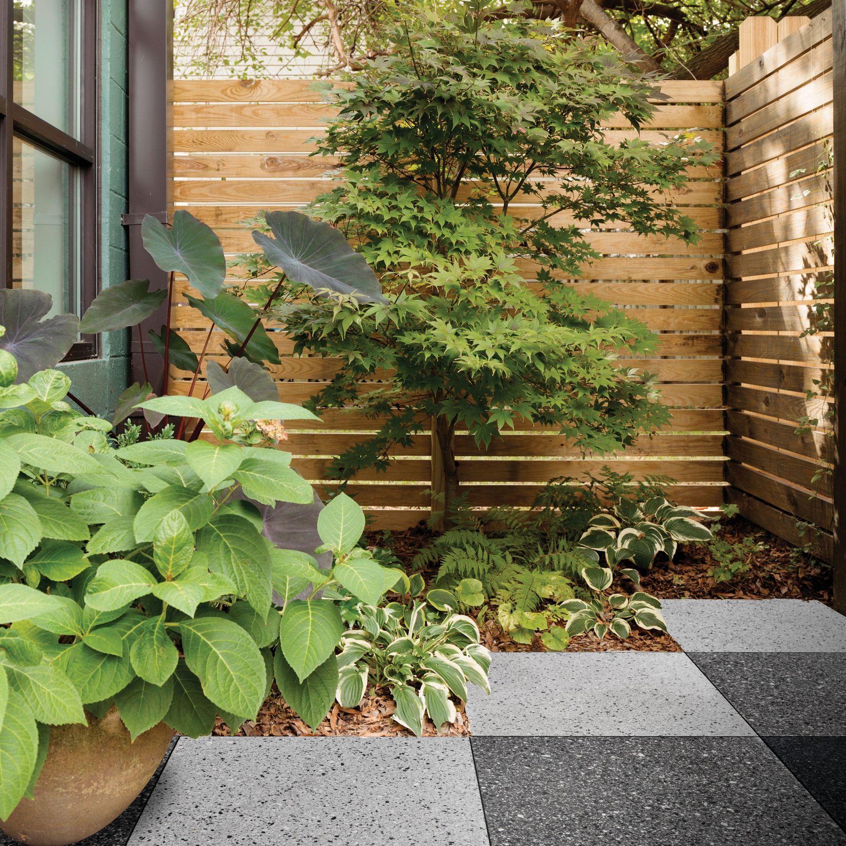 Forum Paver