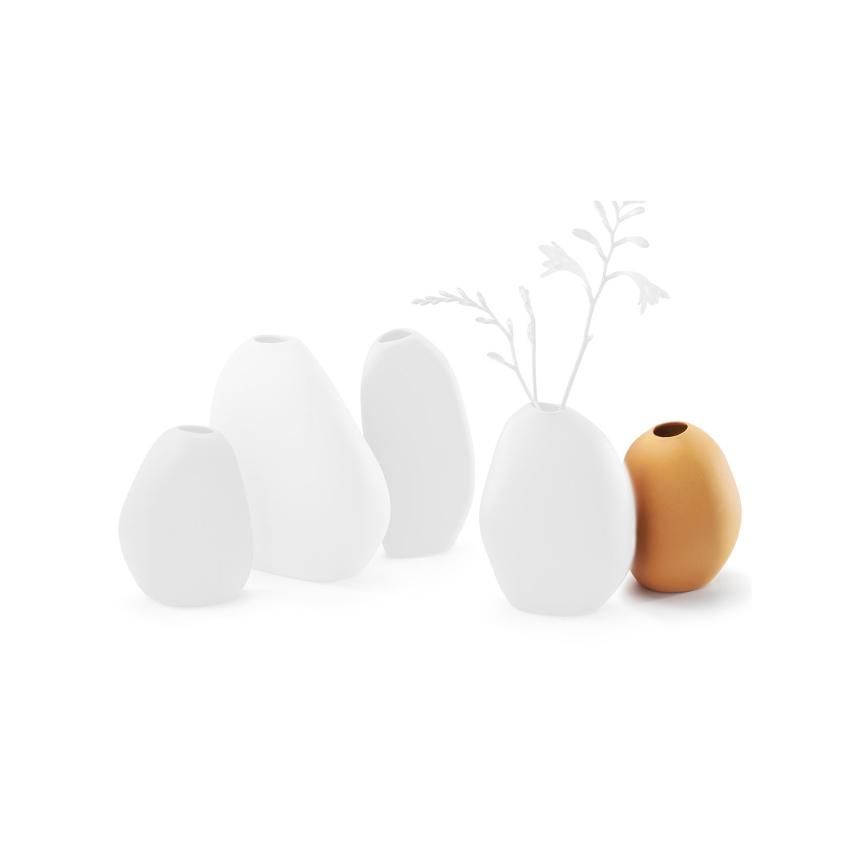 Philippi Bud Vases