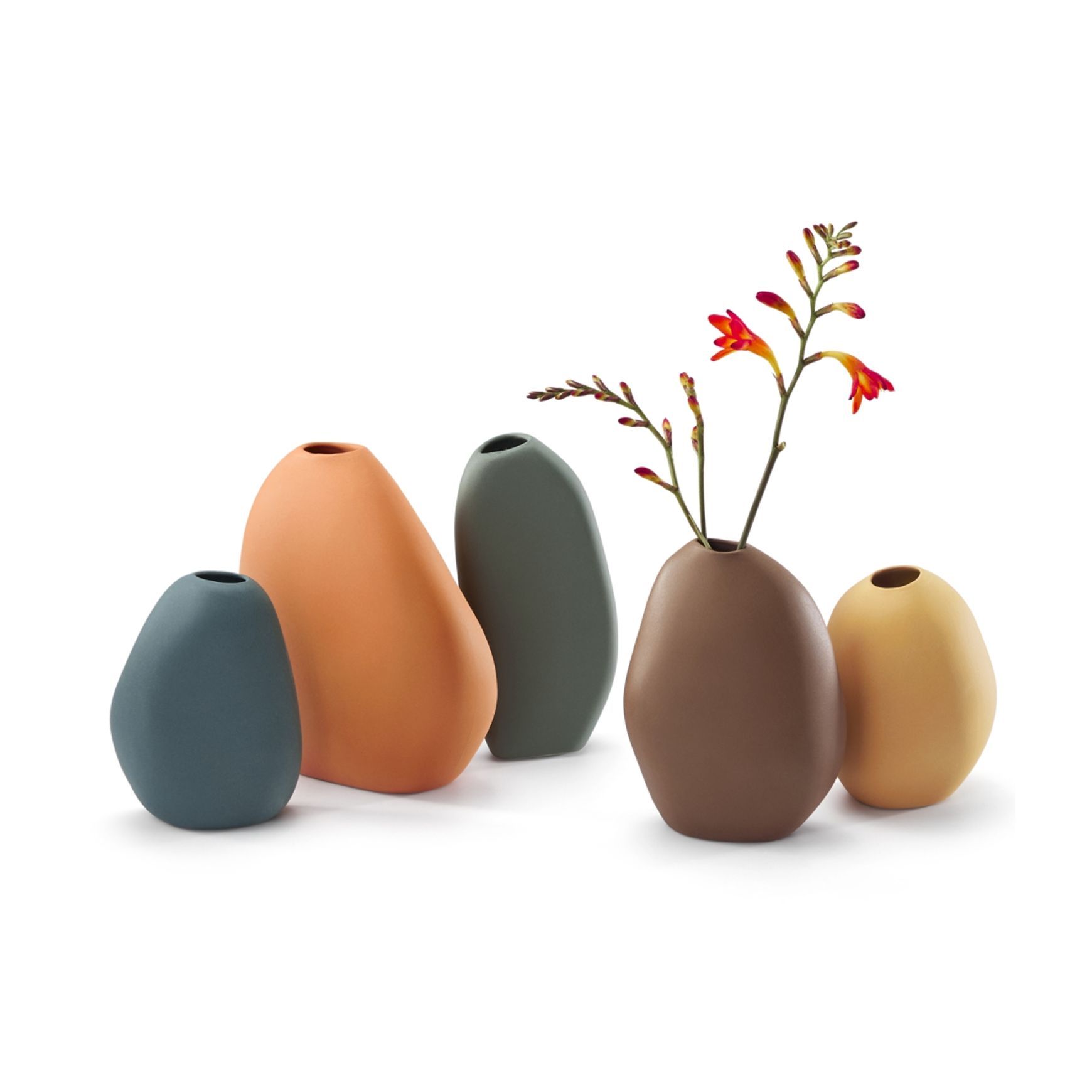 Philippi Bud Vases