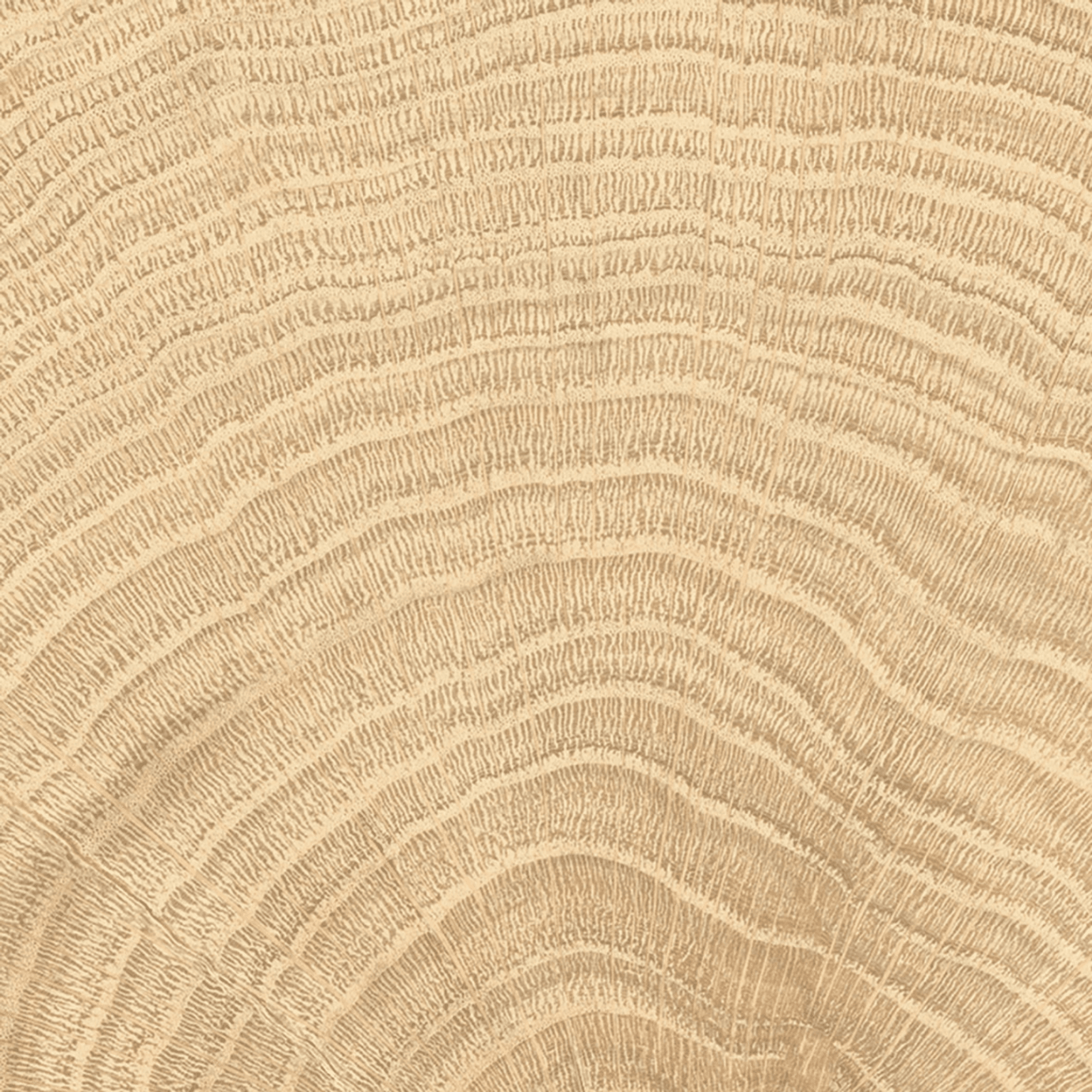 W-Circles Oak tile