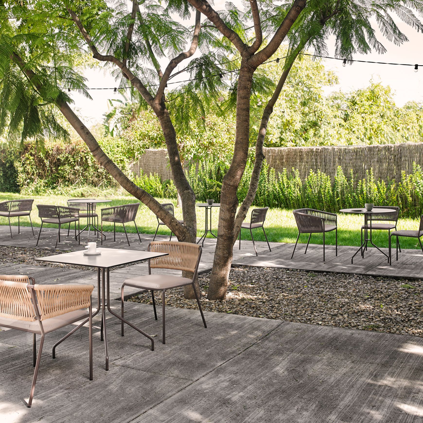 Weave Dining Armchair By Point