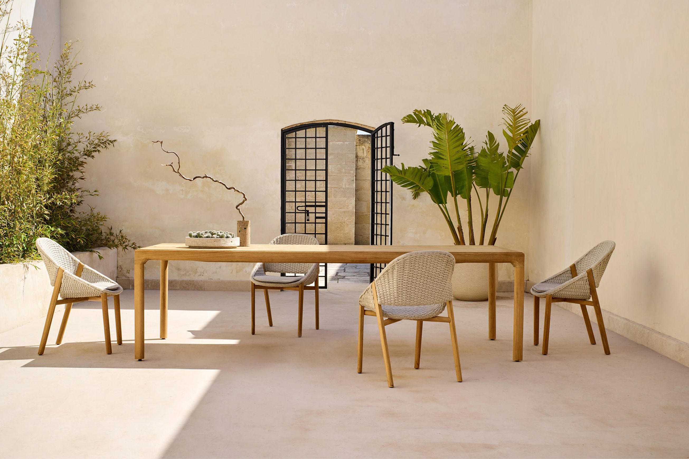 Elio Dining Chair by Tribu