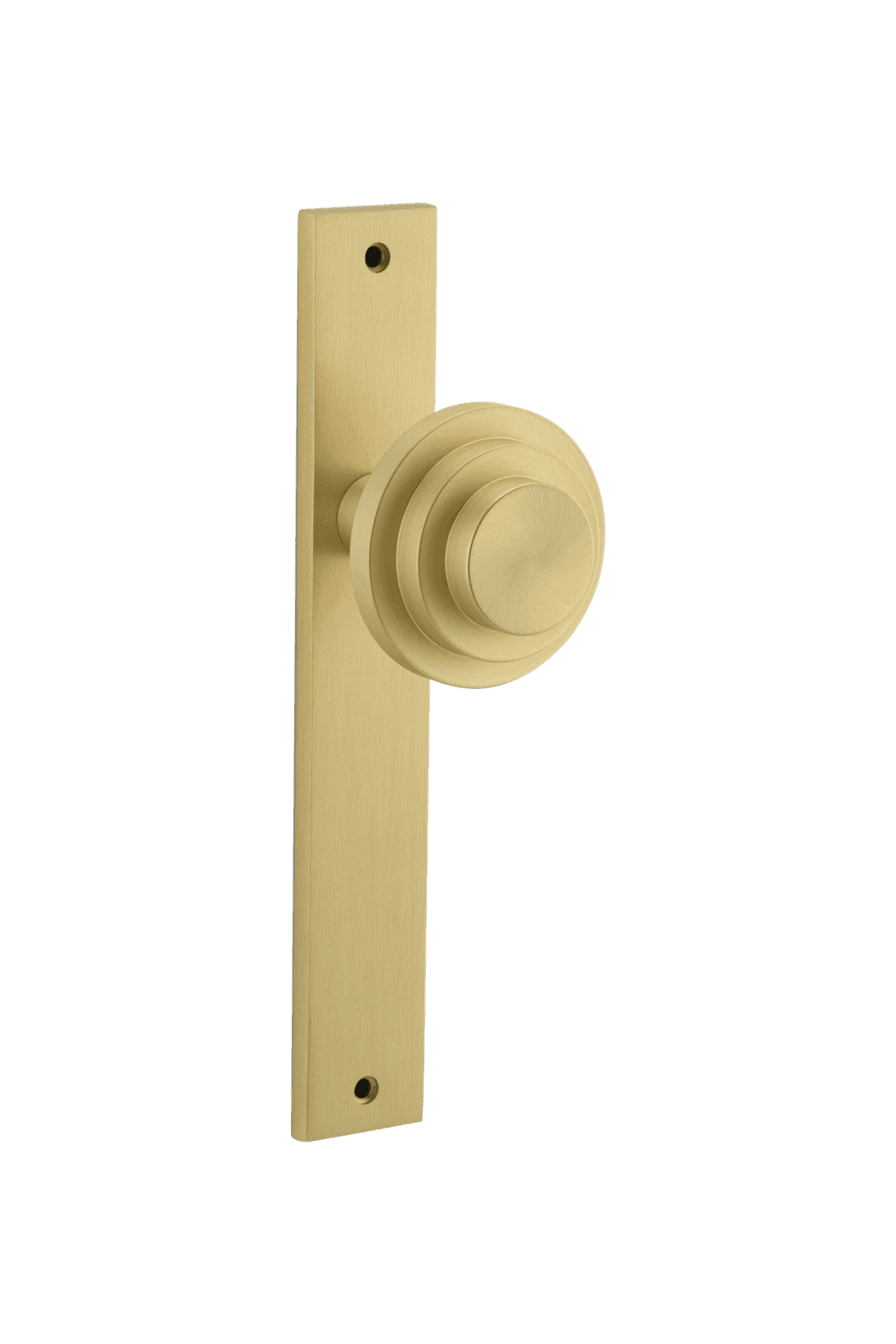 Zzzigurat Door Knob on Rectangular Backplate