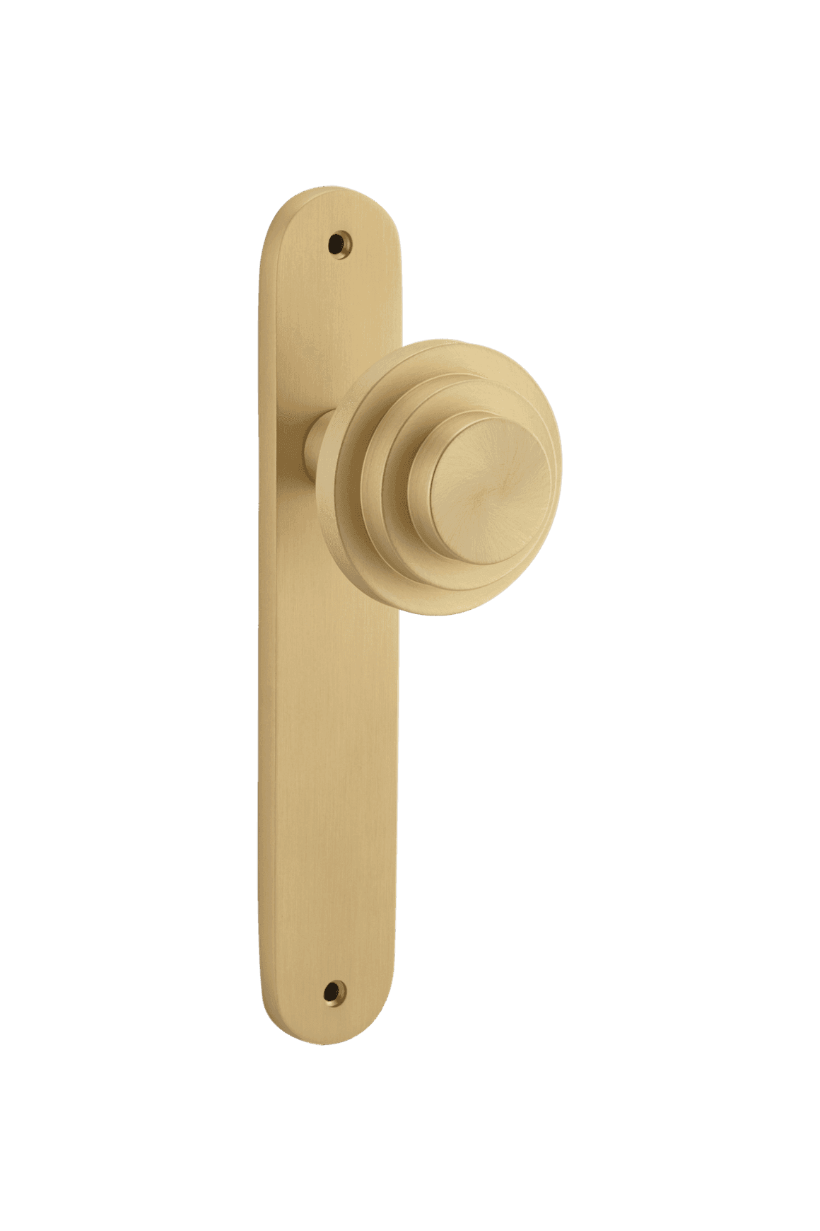 Zzzigurat Door Knob on Oval Backplate