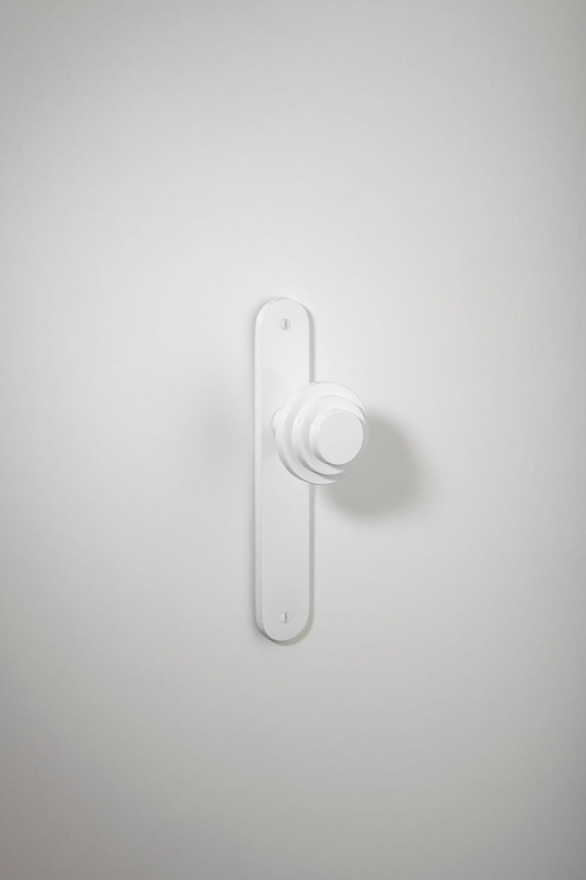 Zzzigurat Knob - Oval Backplate