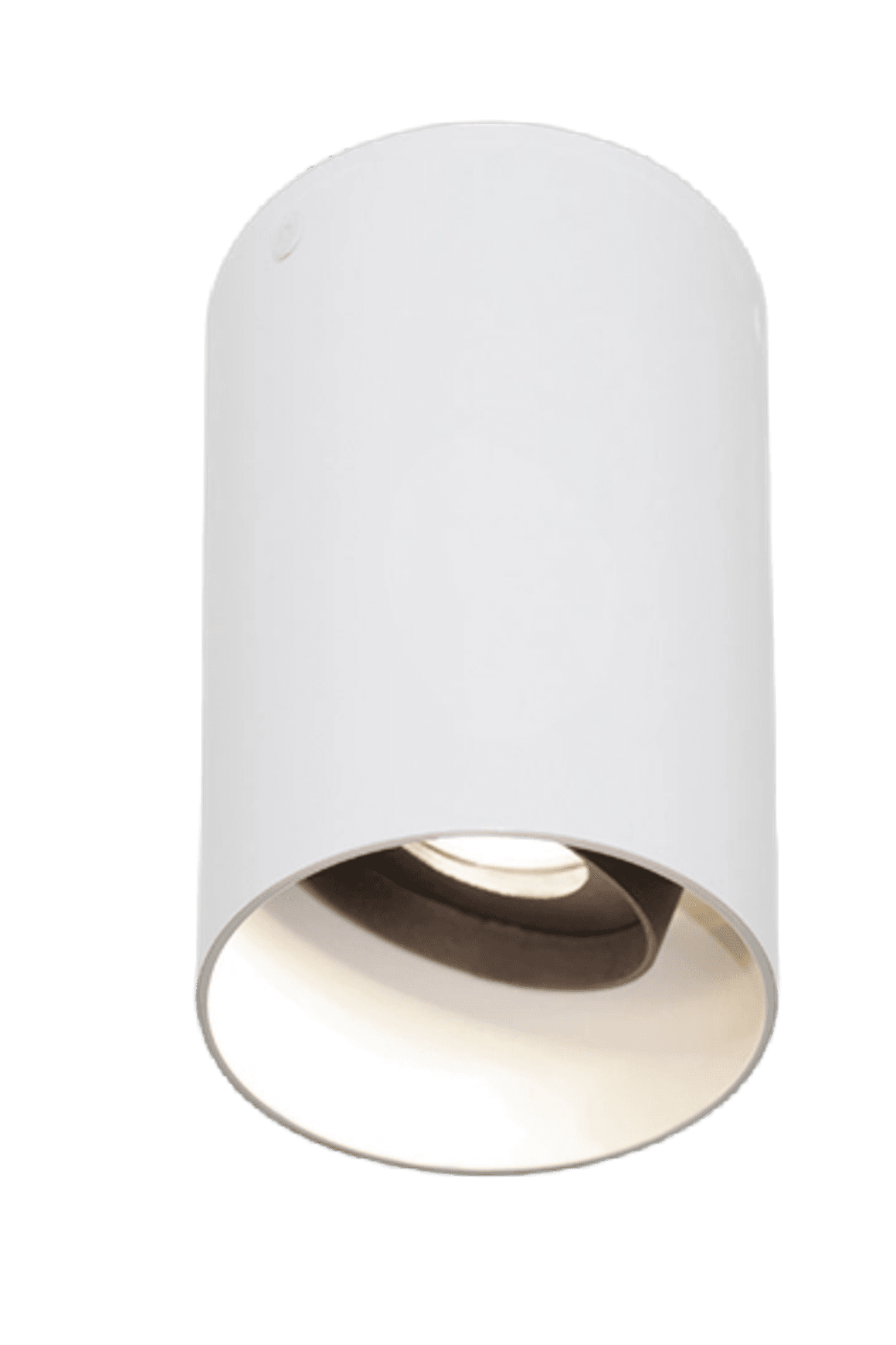 Beama Surface Eye Adjustable Downlight