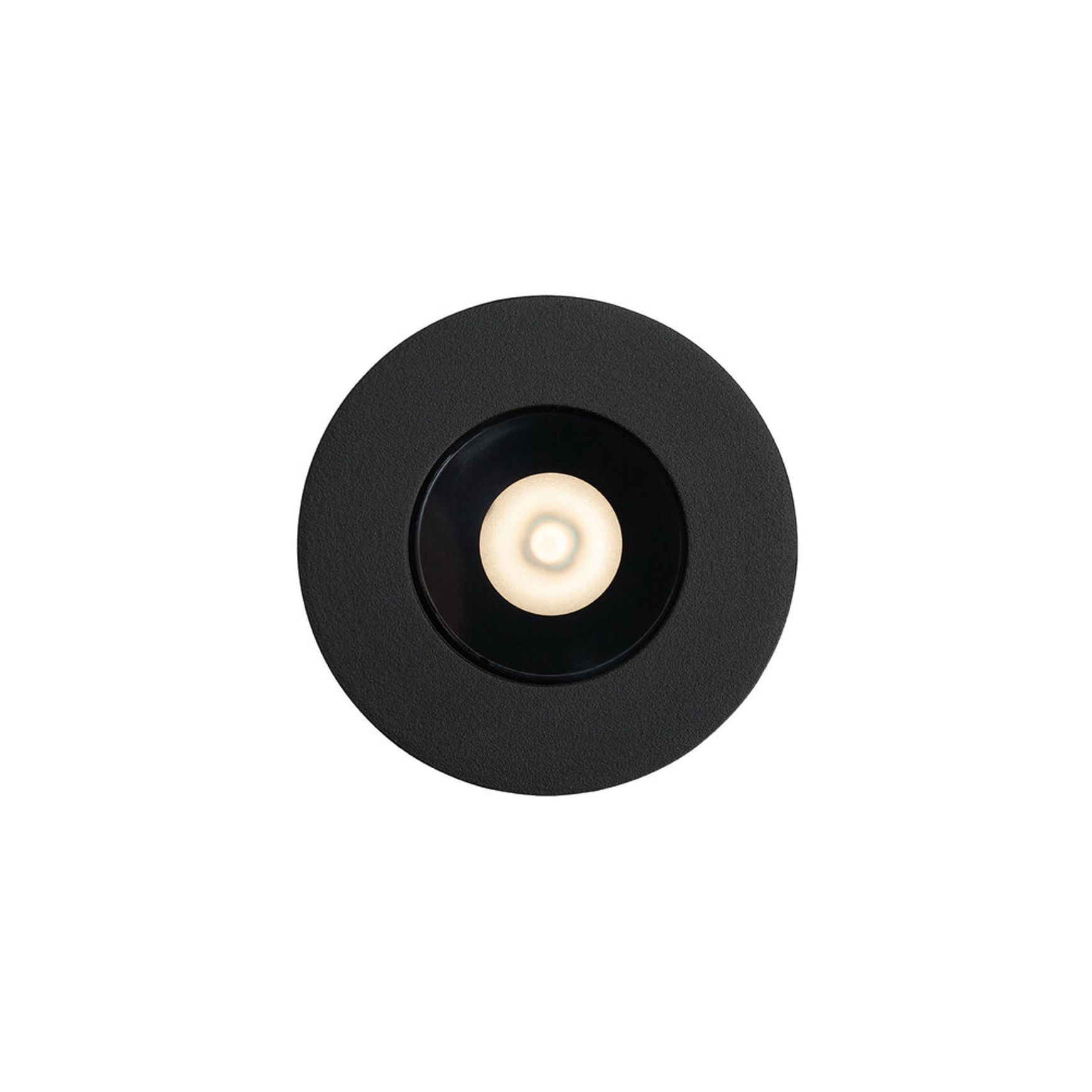 Firefly Downlight