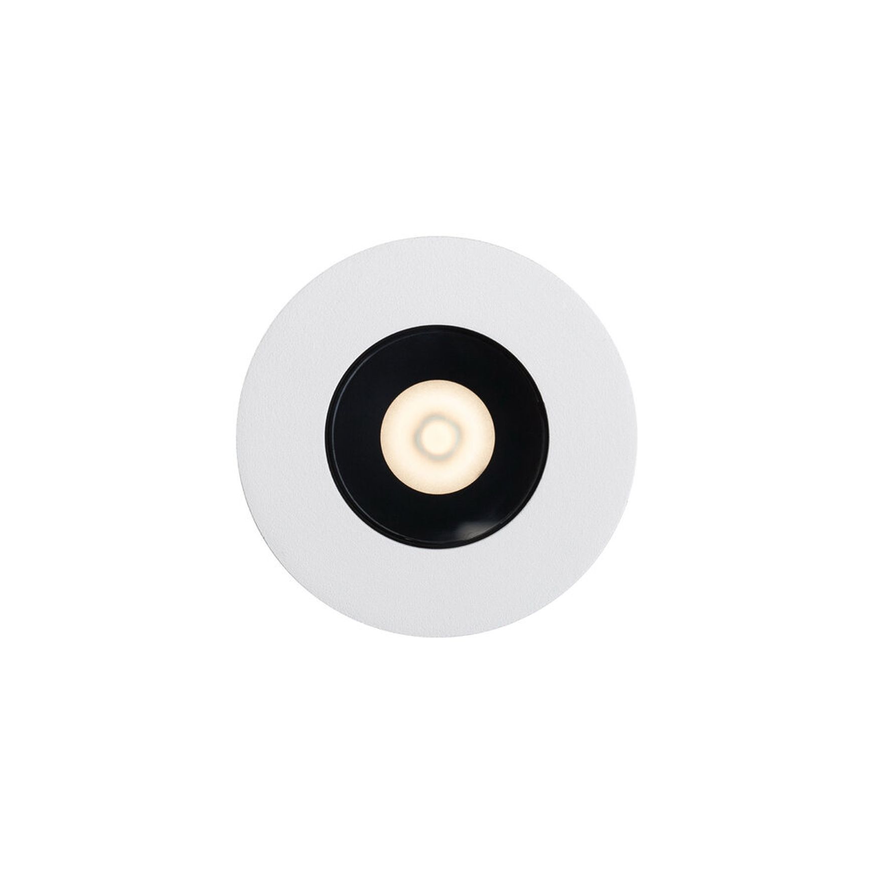 Firefly Downlight