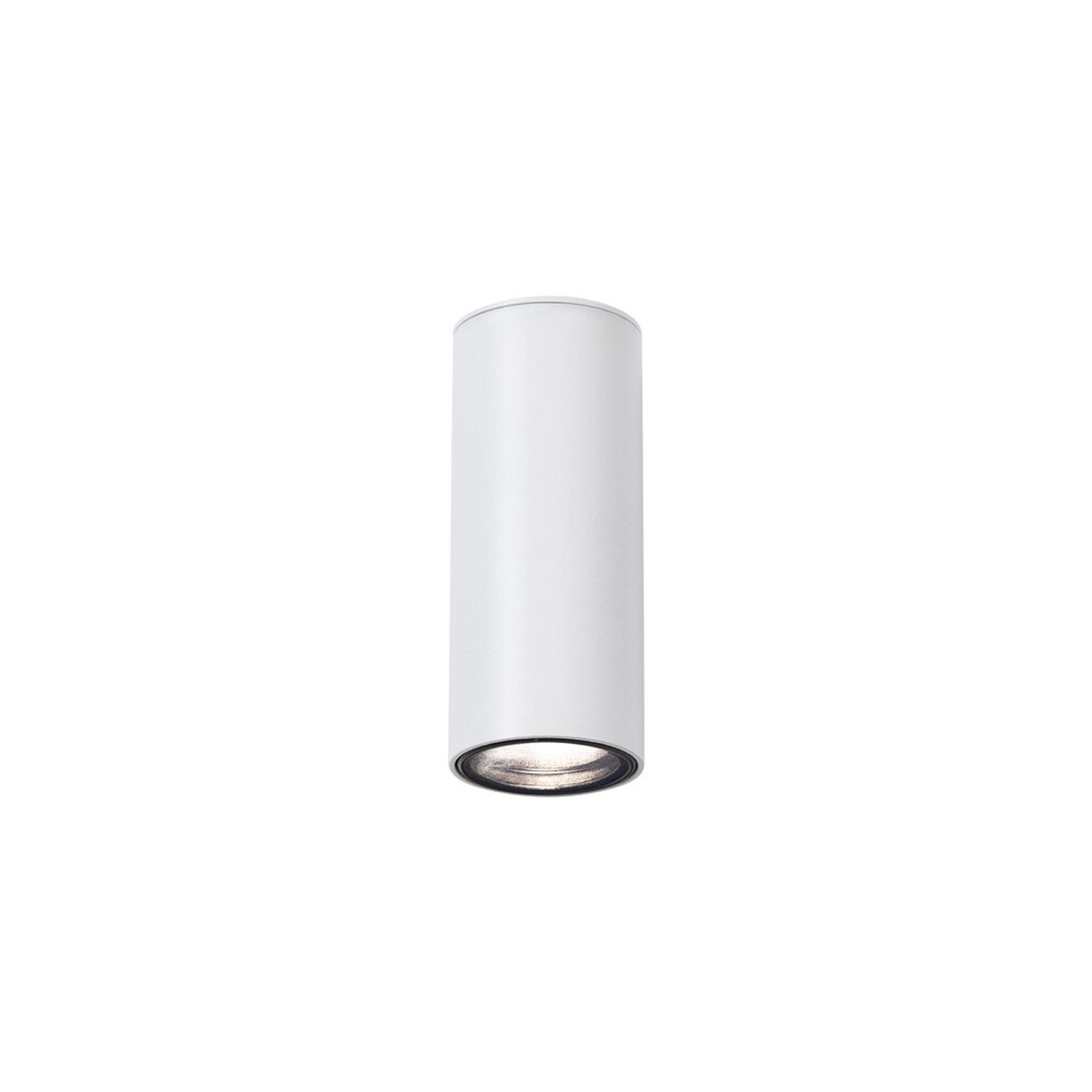 Firefly Can Surface Downlight