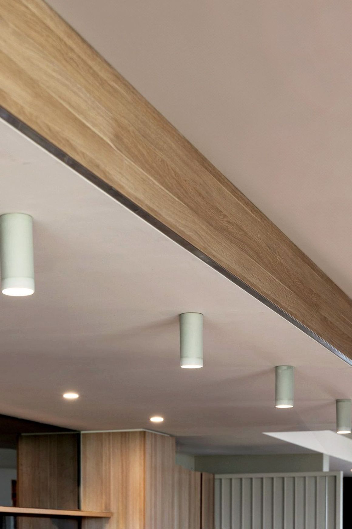 Dusked Eos Ceiling Light