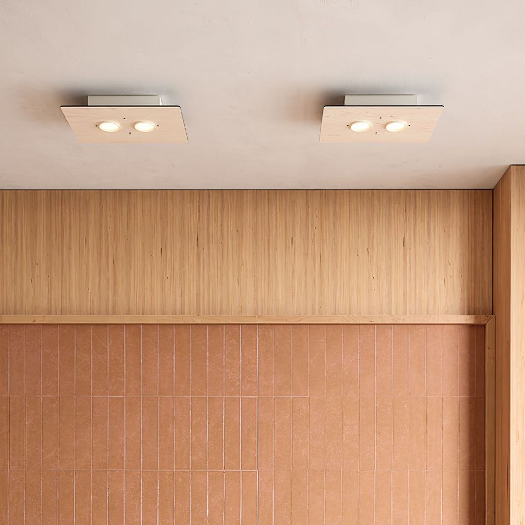 Equal Twin Ceiling Light