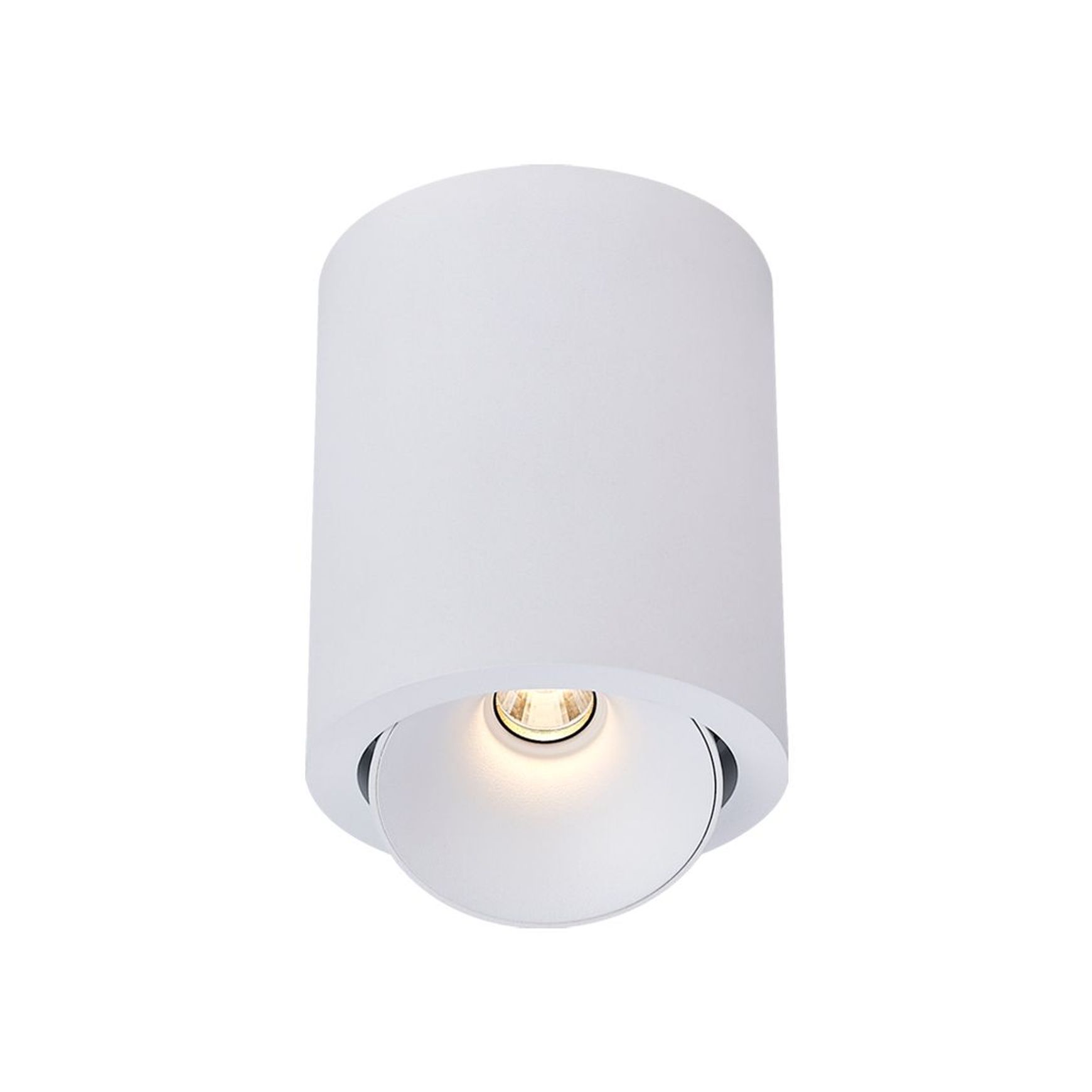 Cevon Dark Art - 14W Tilt/Rotate Surface Mount Light