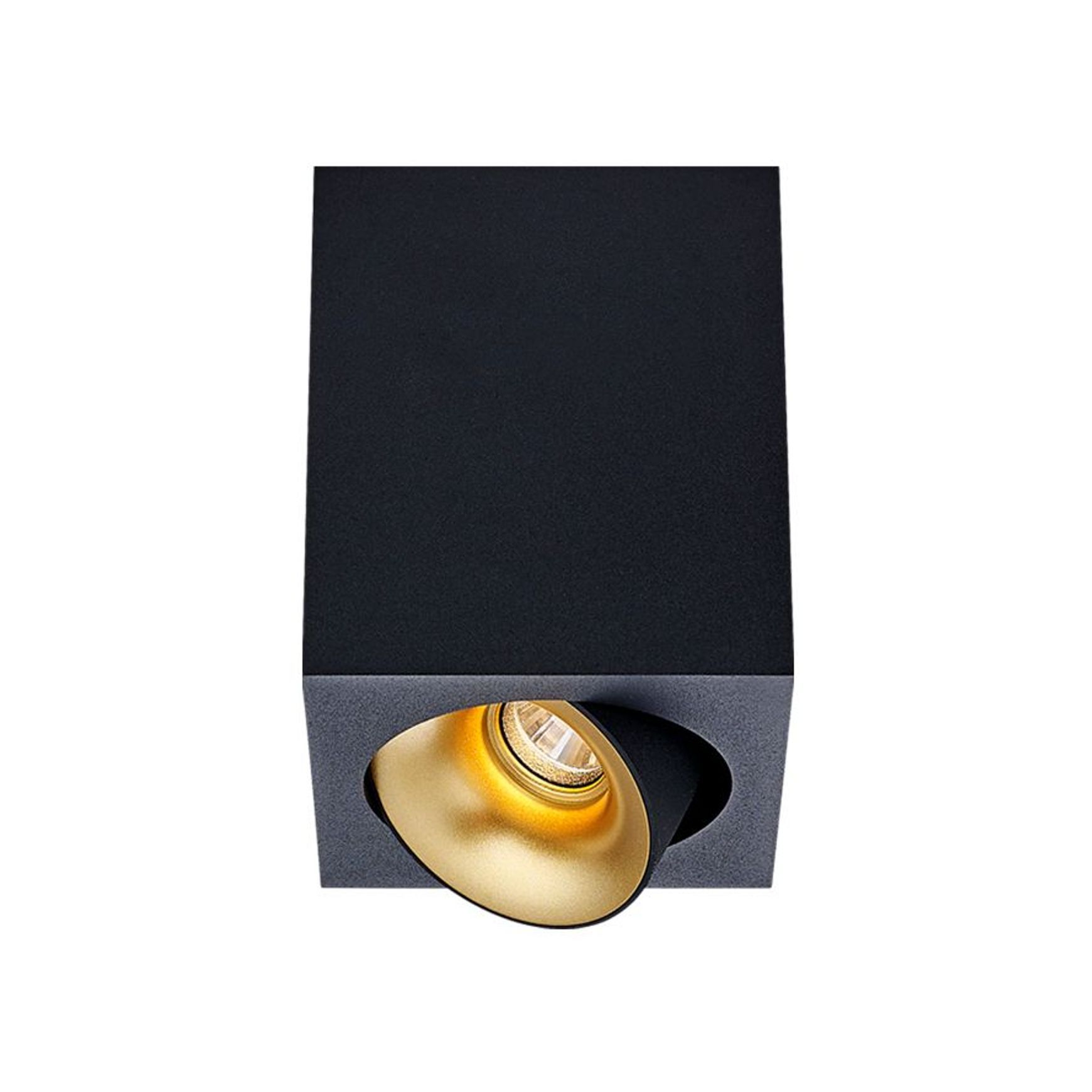 Cevon Dark Art - 10W Tilt/Rotate Surface Mount Light