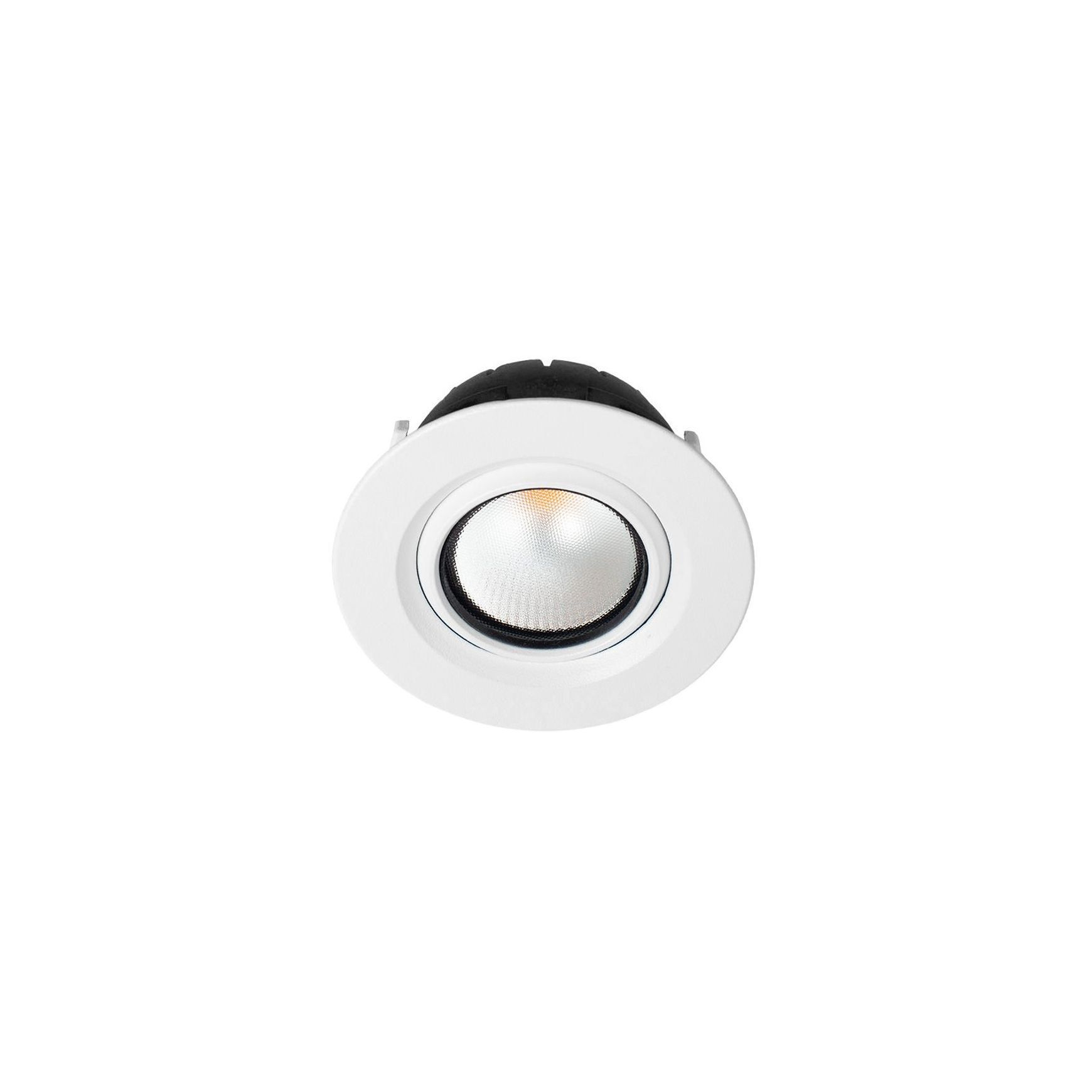 ZELA Tilt - Downlight