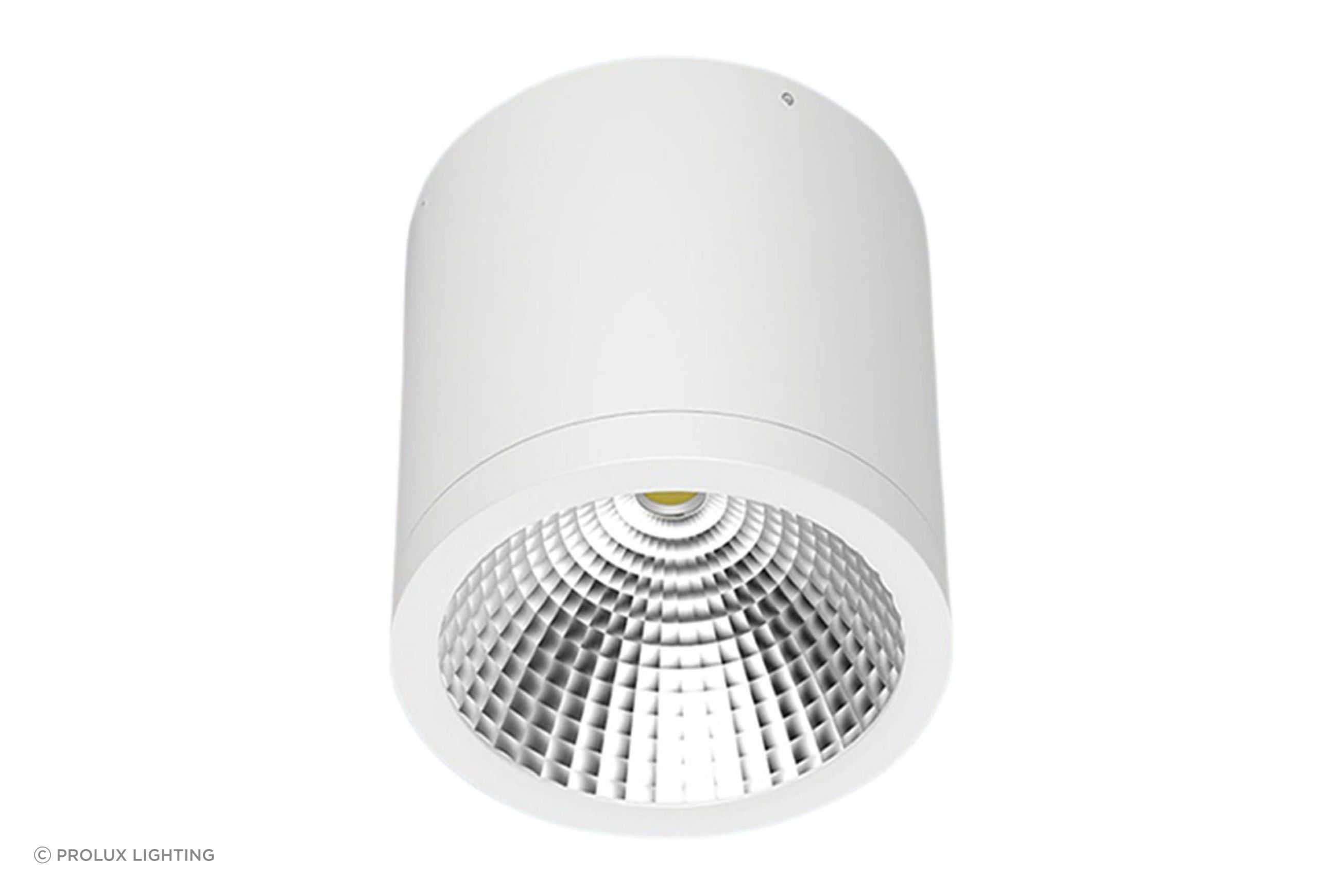 PUKEKOHE DL37 Outdoor Ceiling Light