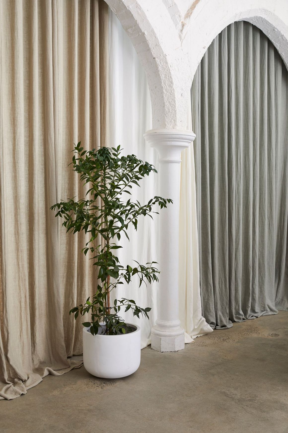 Linesta by Warwick | Drapery