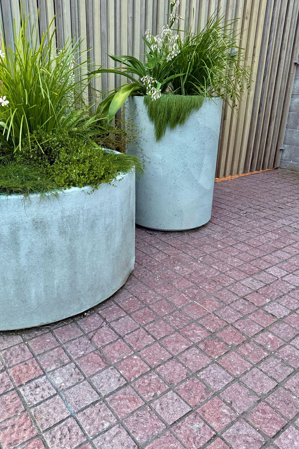 Red Porphyry