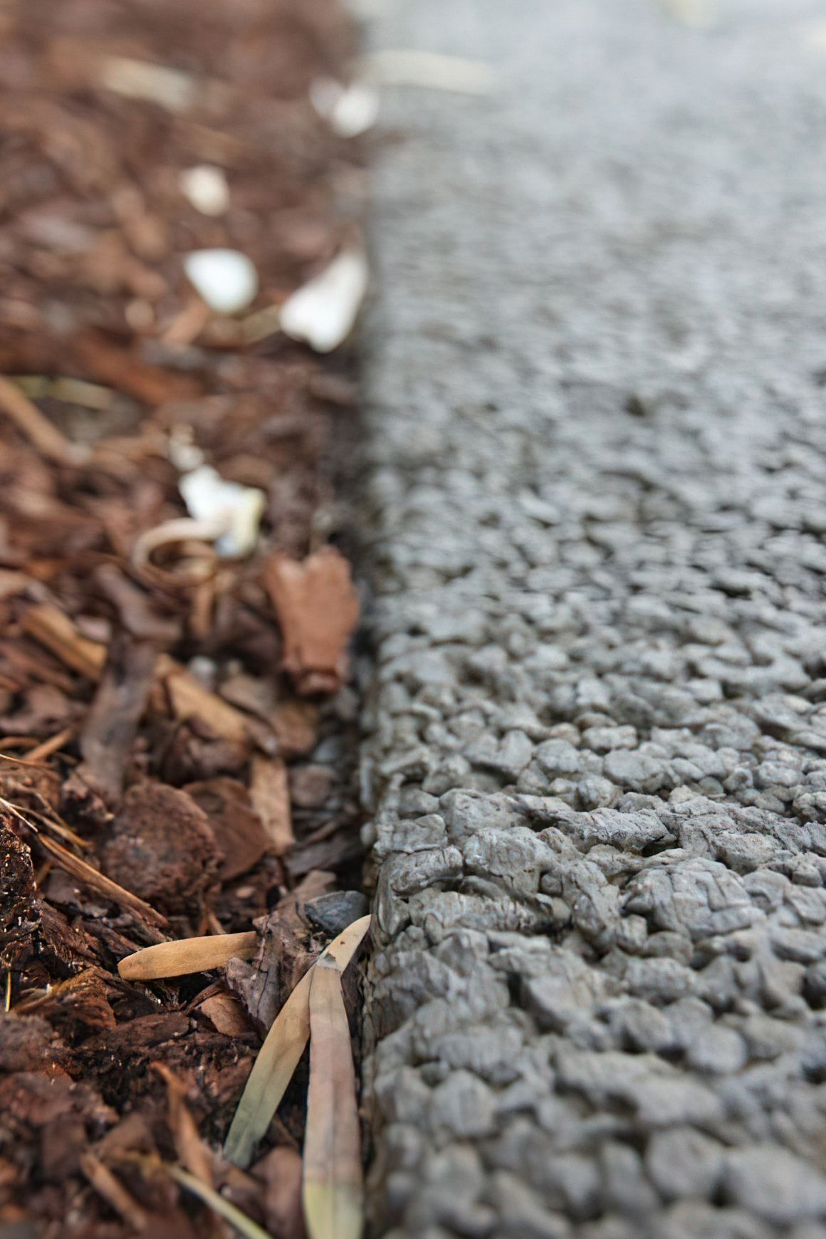 Tree Protection Zones (TPZ) by Permcon