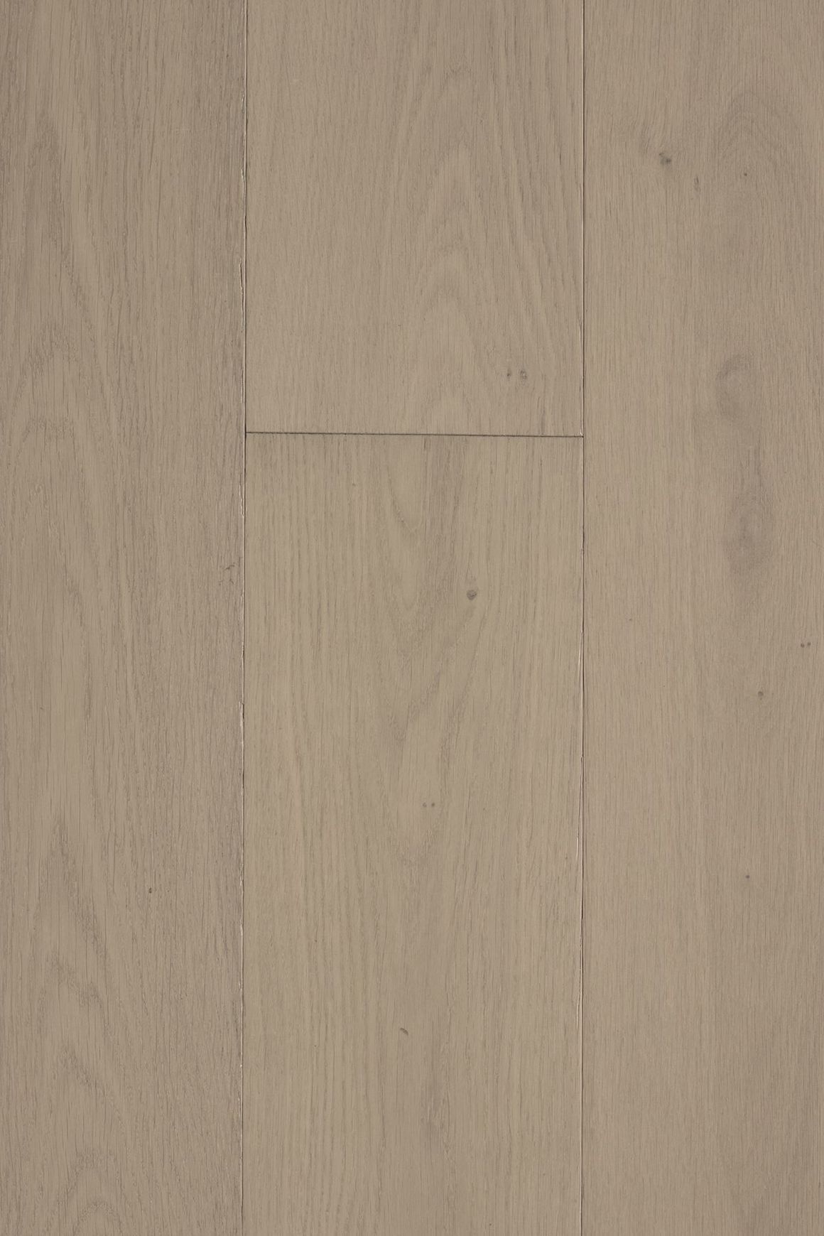 Loft Astoria Feature European Oak Flooring