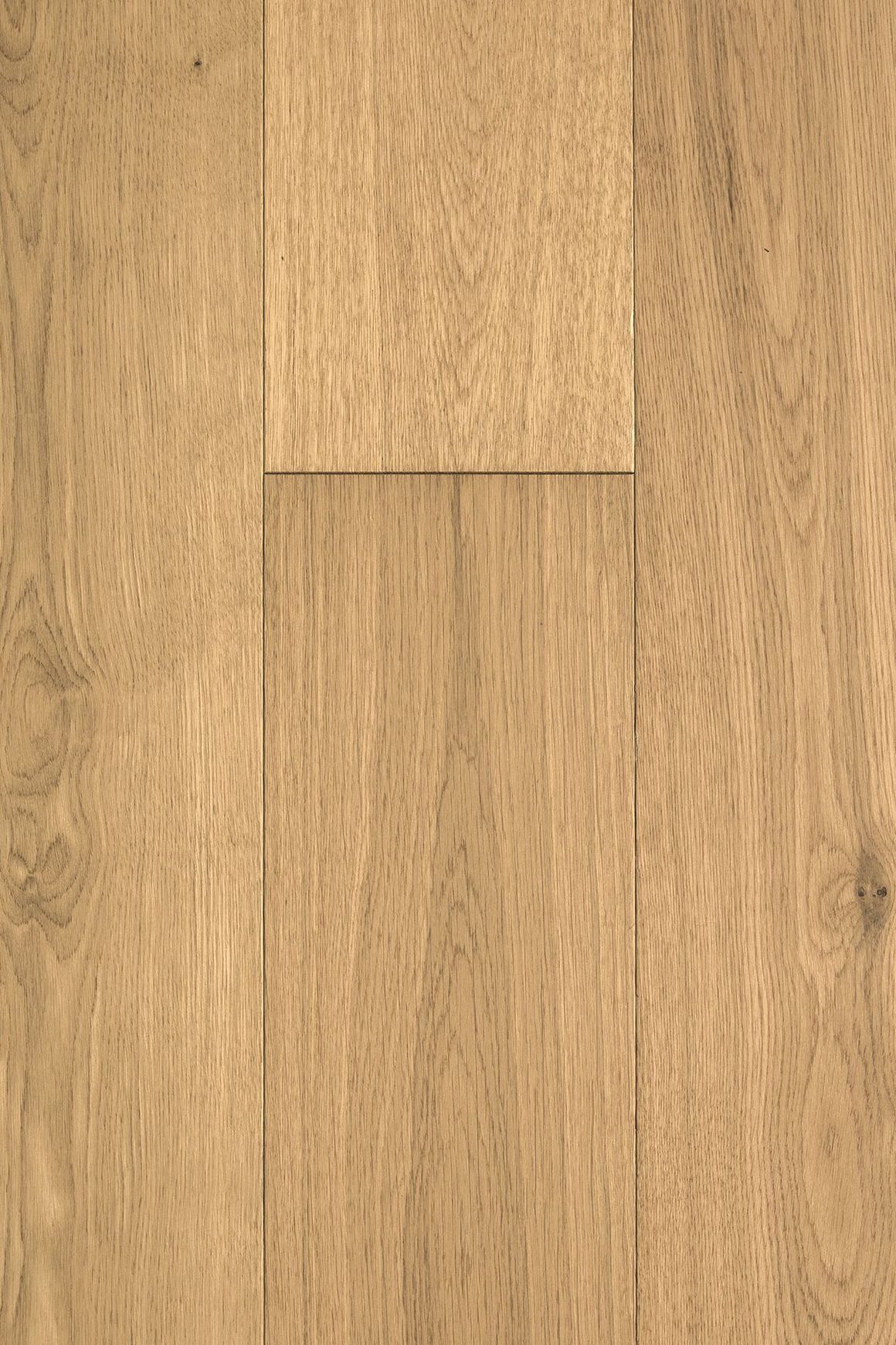 Loft Brighton Feature European Oak Flooring