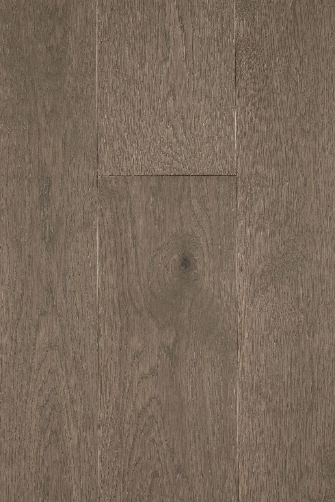 Loft Tribeca Feature European Oak Flooring