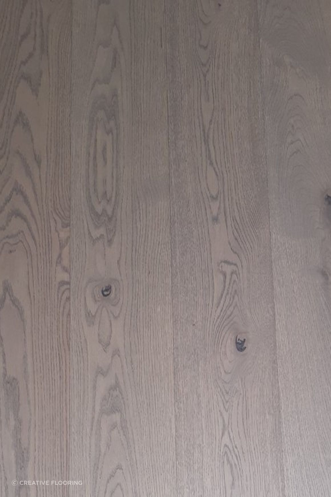 Habitat Range - Lacquer