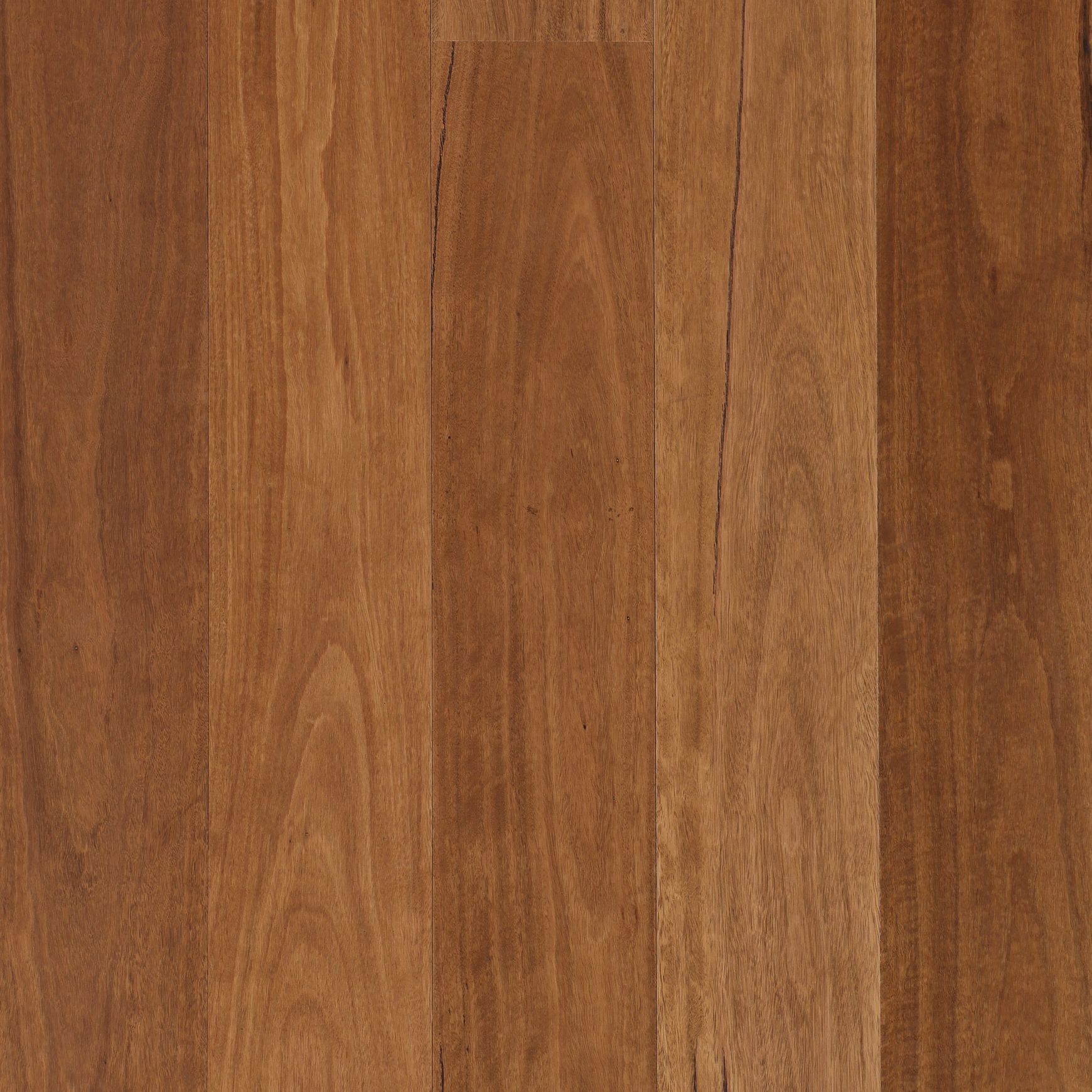 Ignarra | Aloura Collection