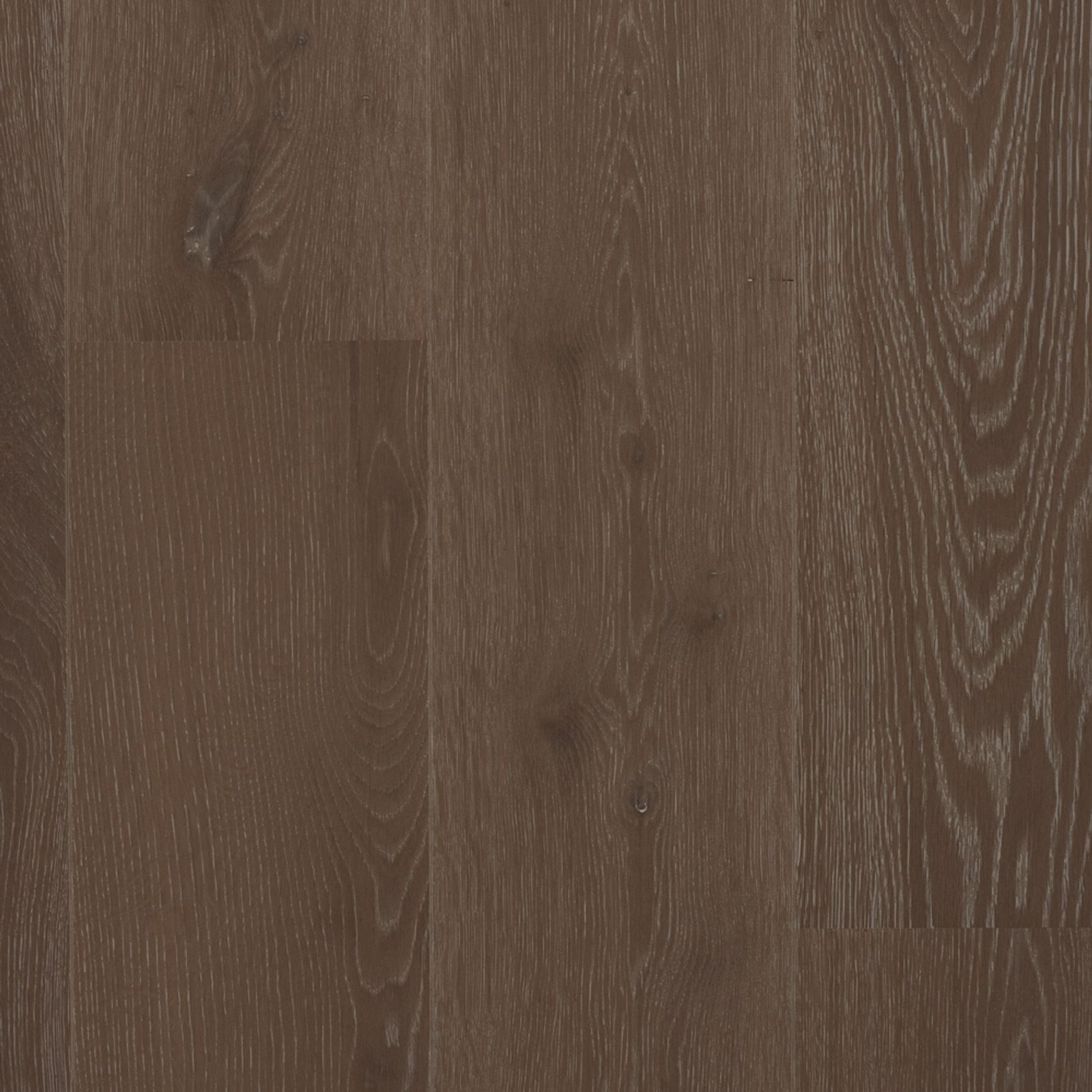 Boen 181 Live Pure India Grey | Animoso Grade