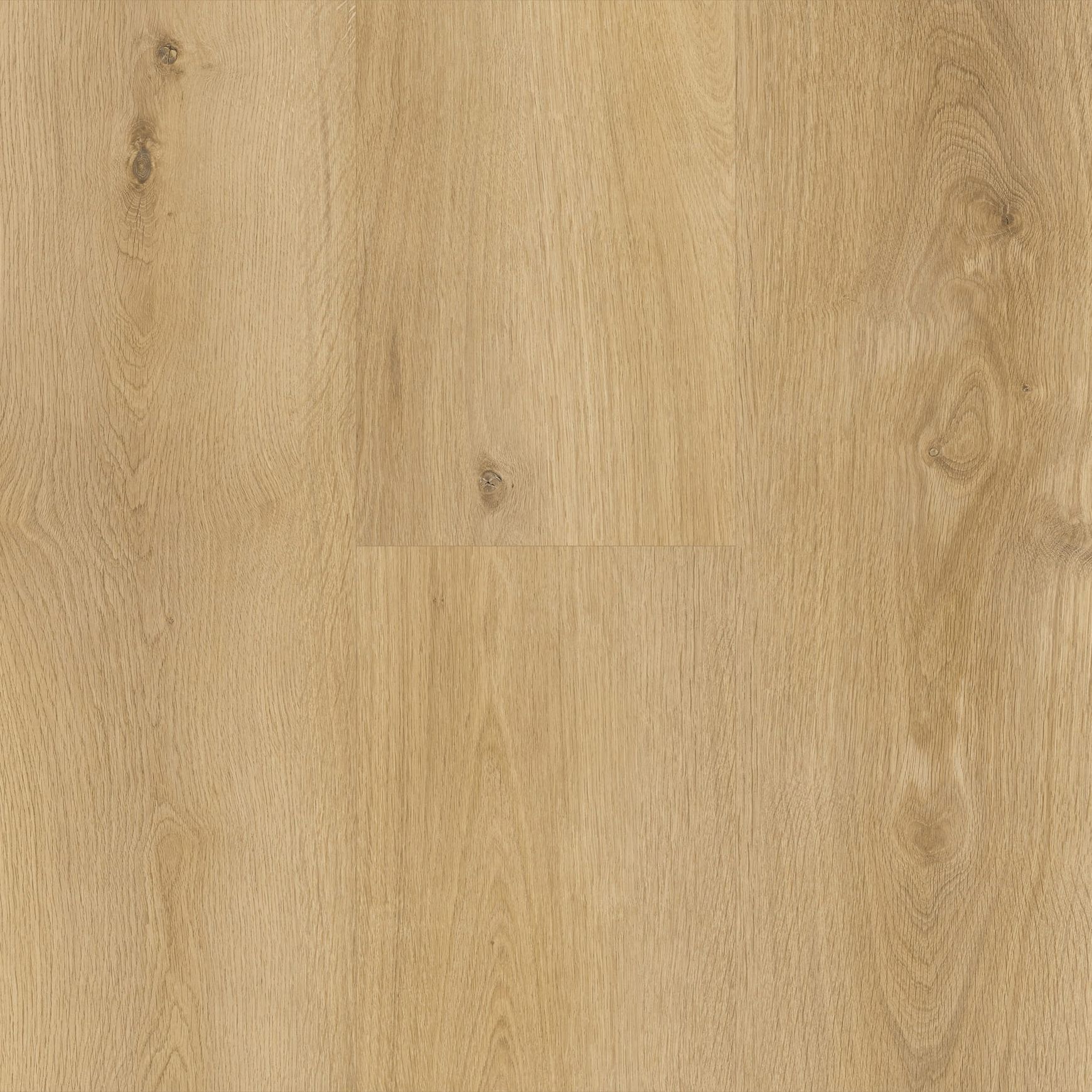 Aspire RCB Hybrid Flooring