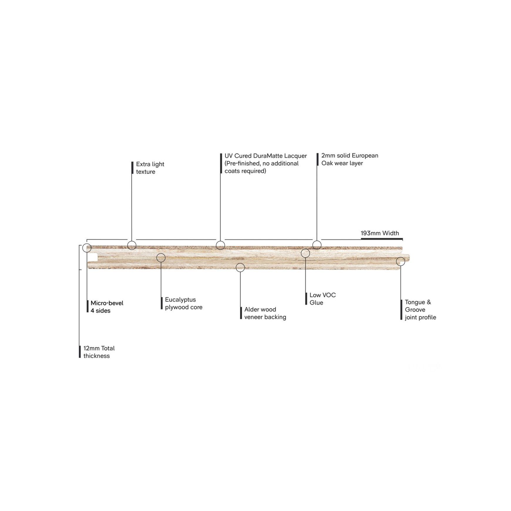 Loft Brighton Feature European Oak Flooring