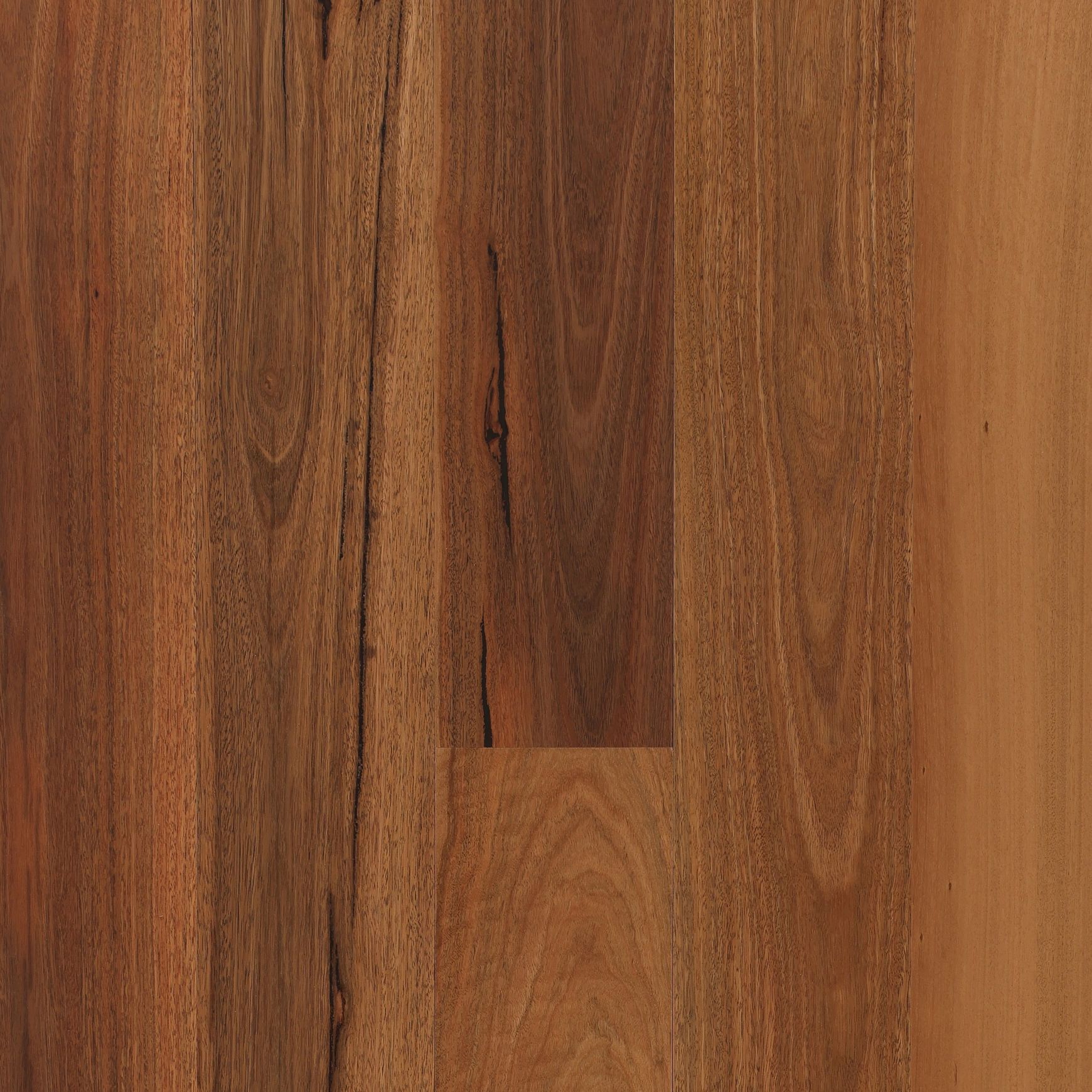 Maculata | Aloura Collection