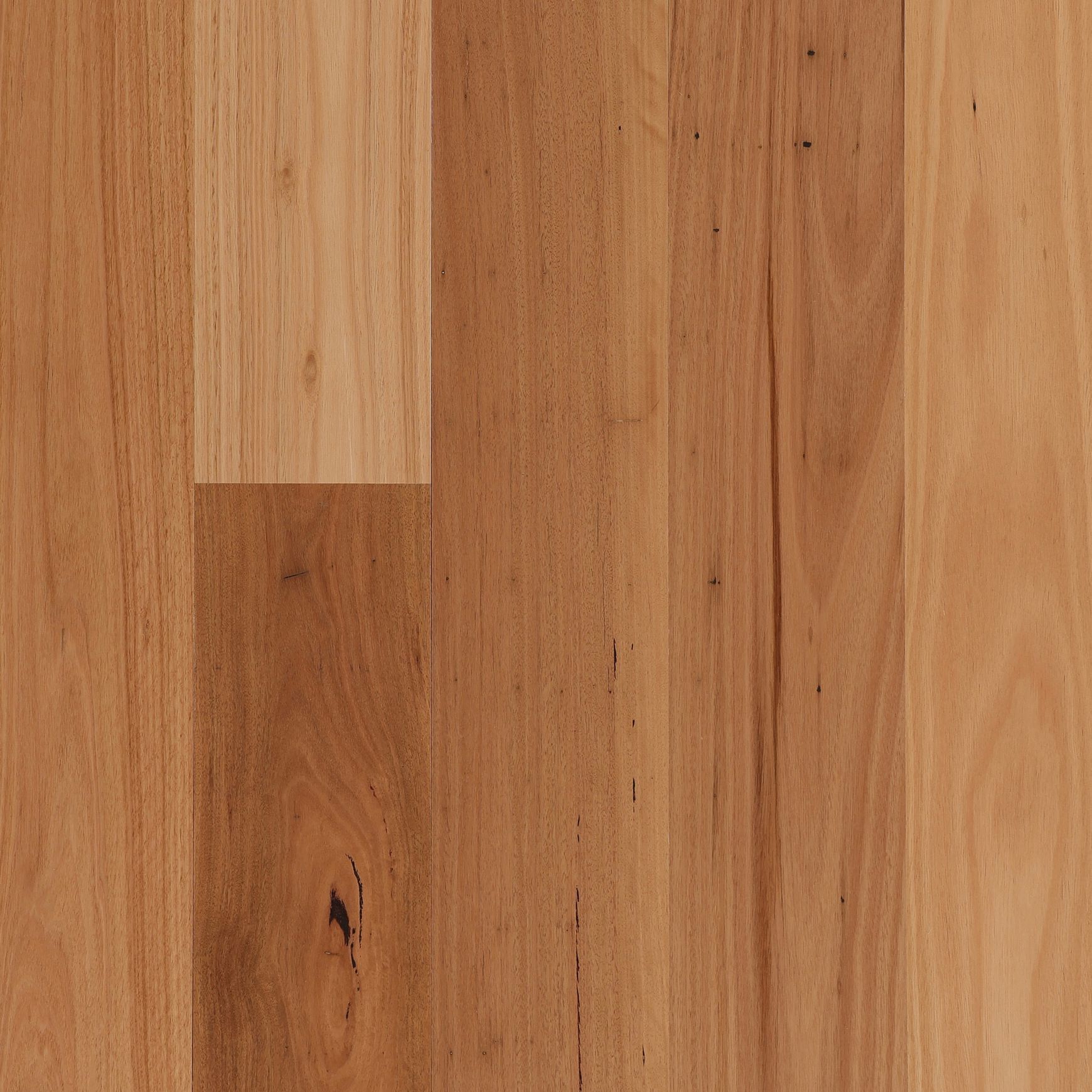 Pilarus | Aloura Collection
