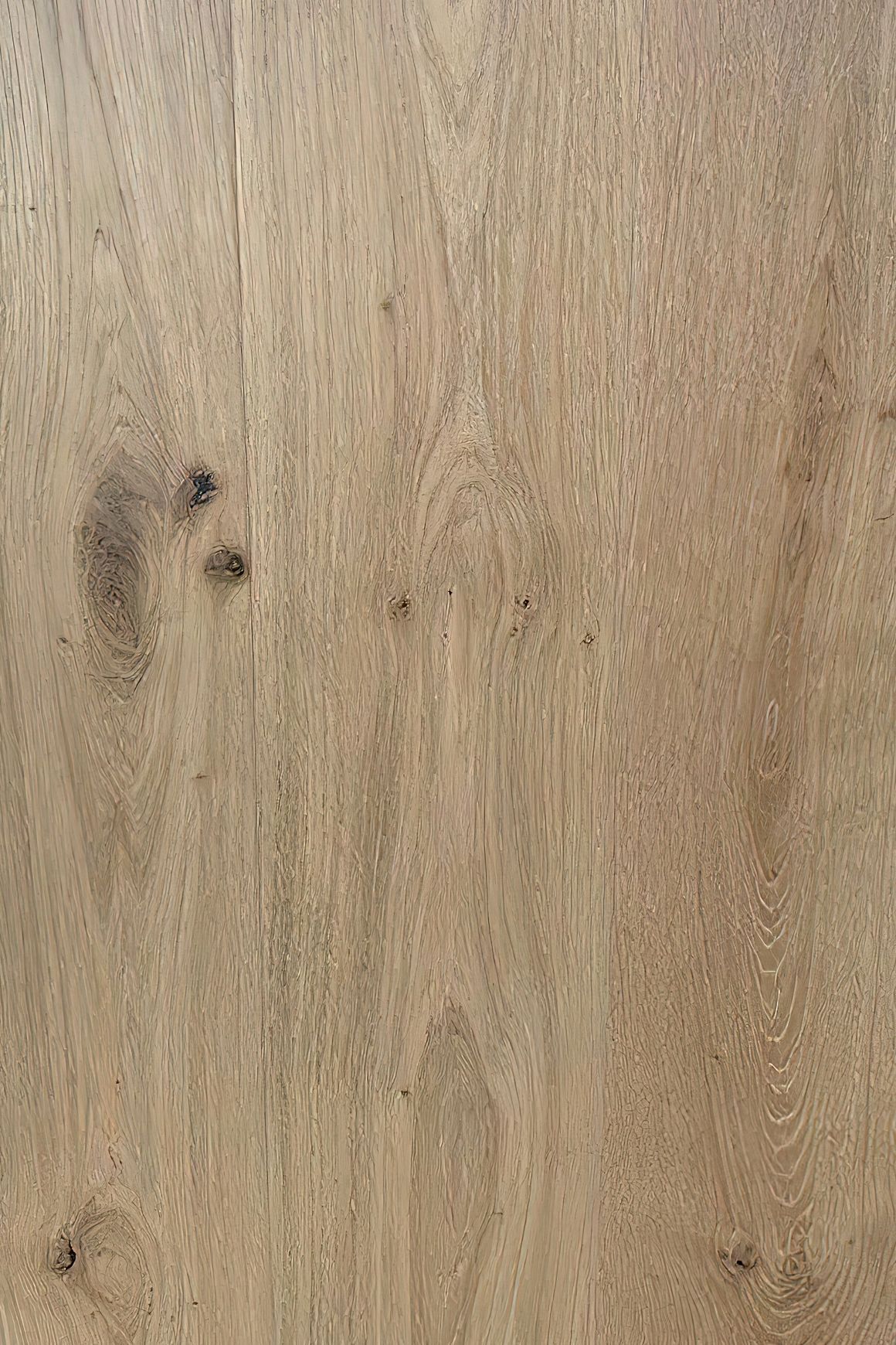Habitat Range - Lacquer