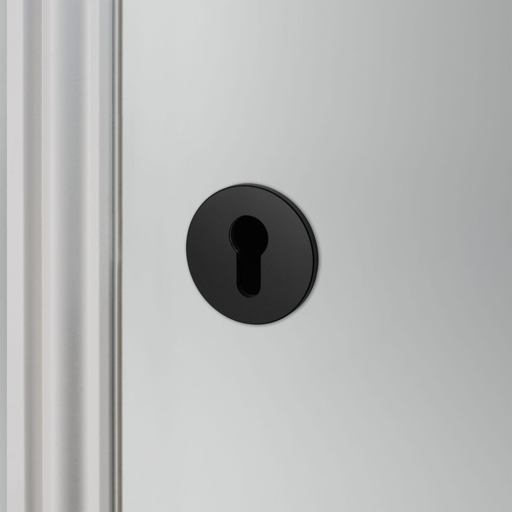 Buster and Punch Escutcheon Plate Euro Profile