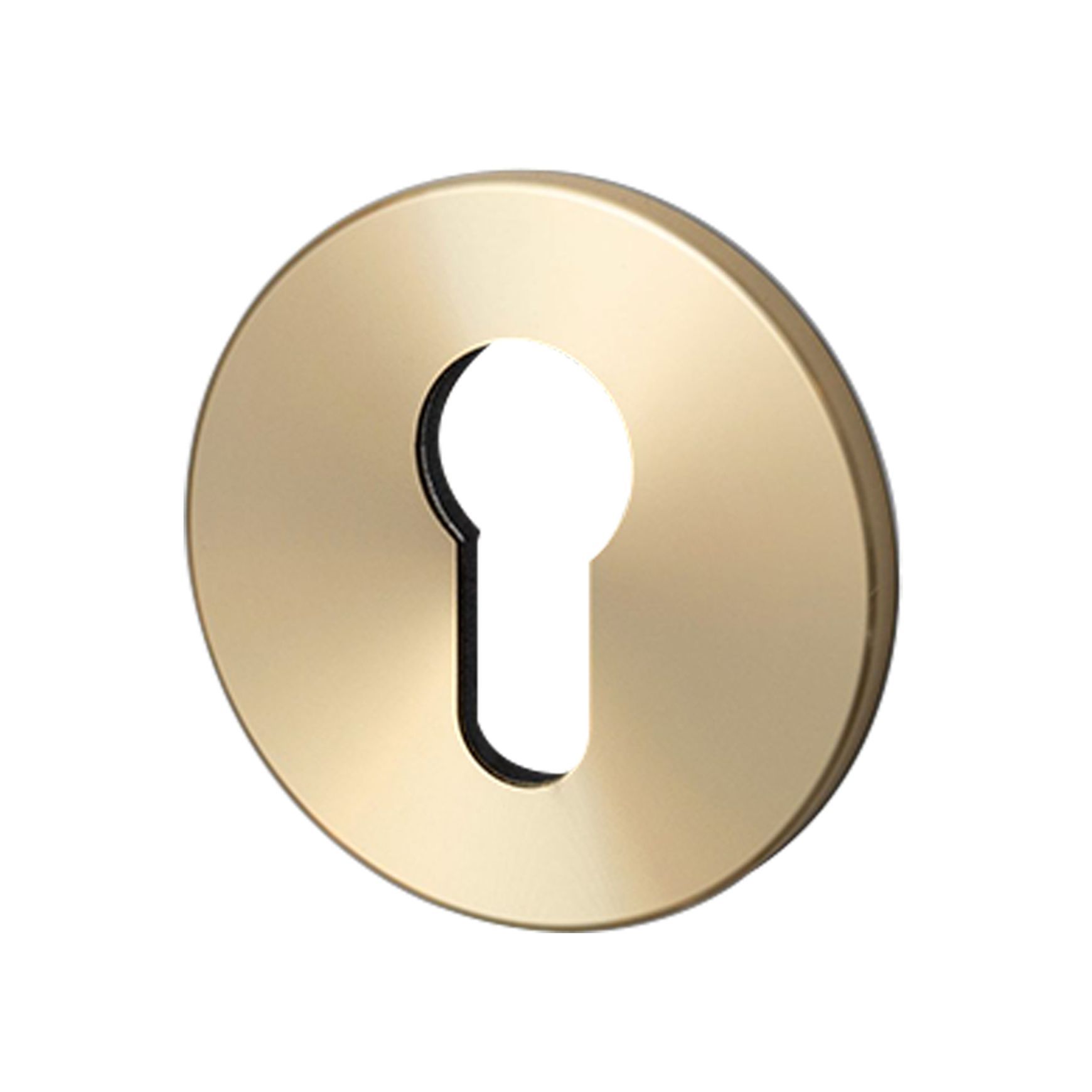 Buster and Punch Escutcheon Plate Euro Profile