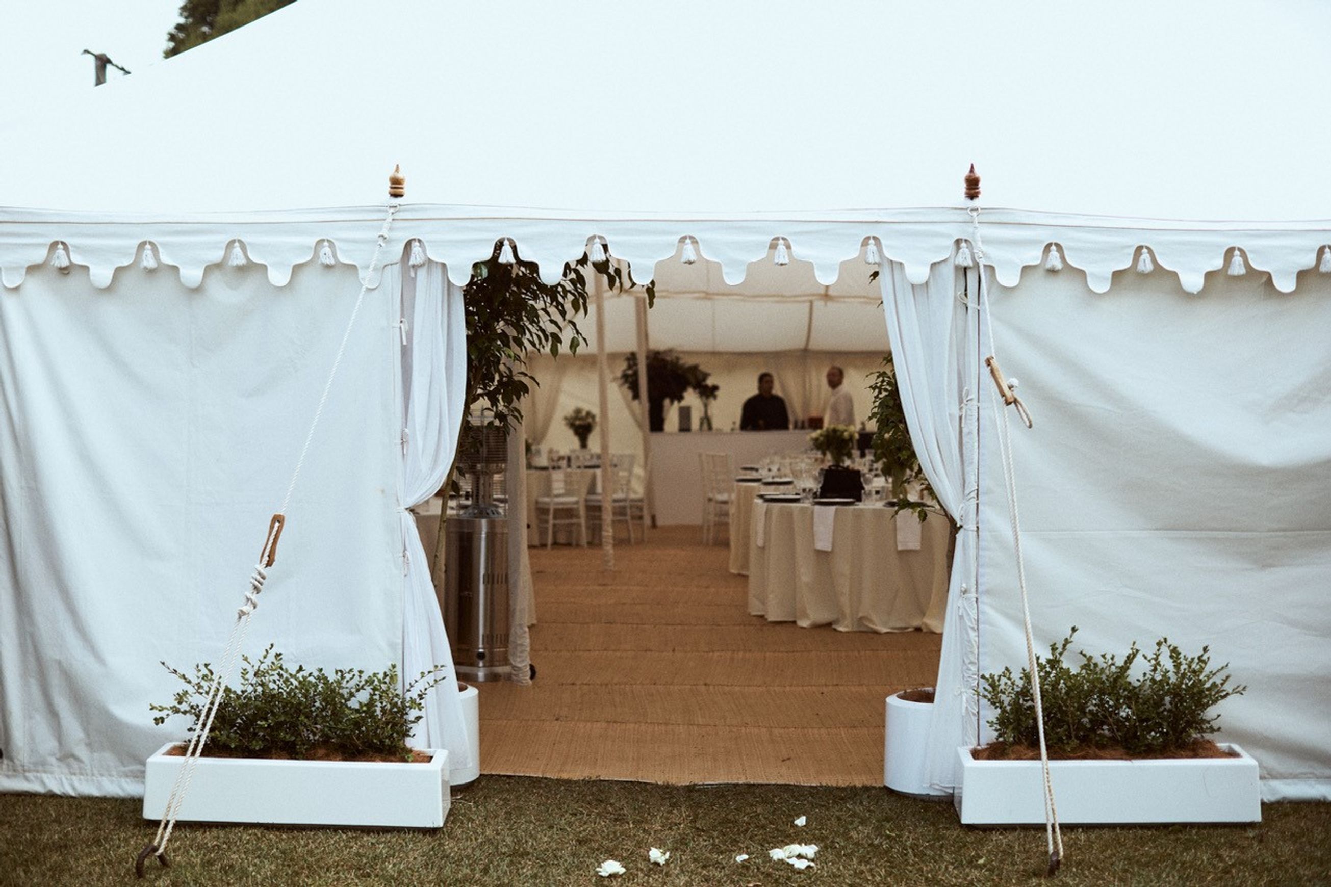 Plant Hire For Events | Hire Plants