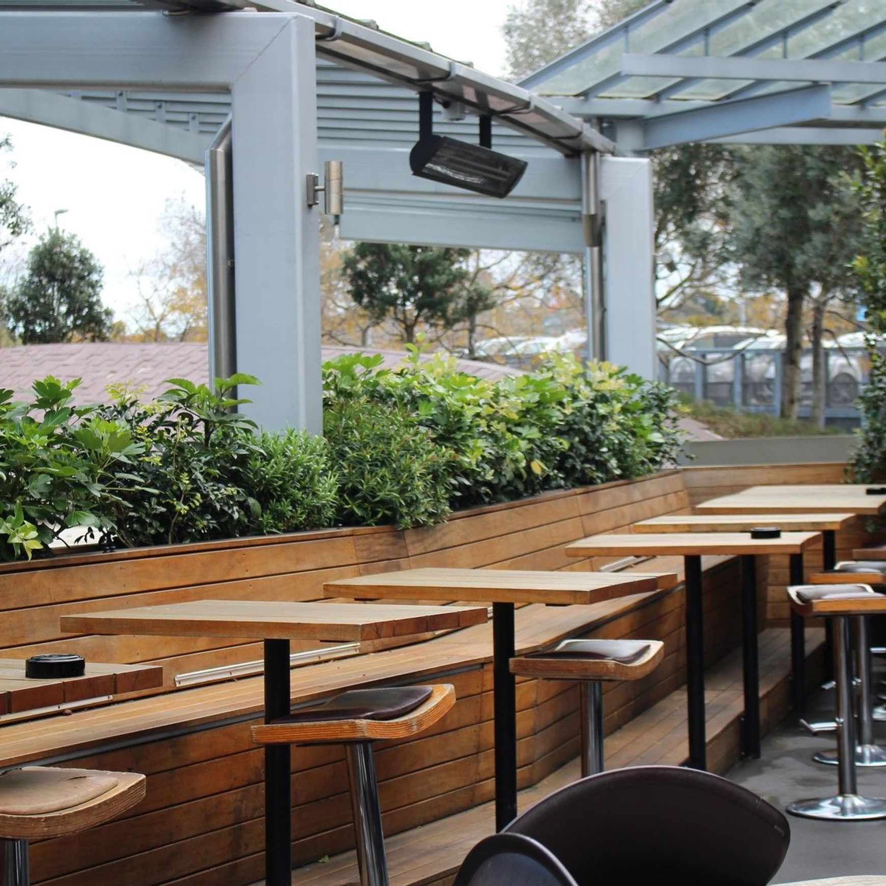 Outdoor Plant Hire | Hire Plants