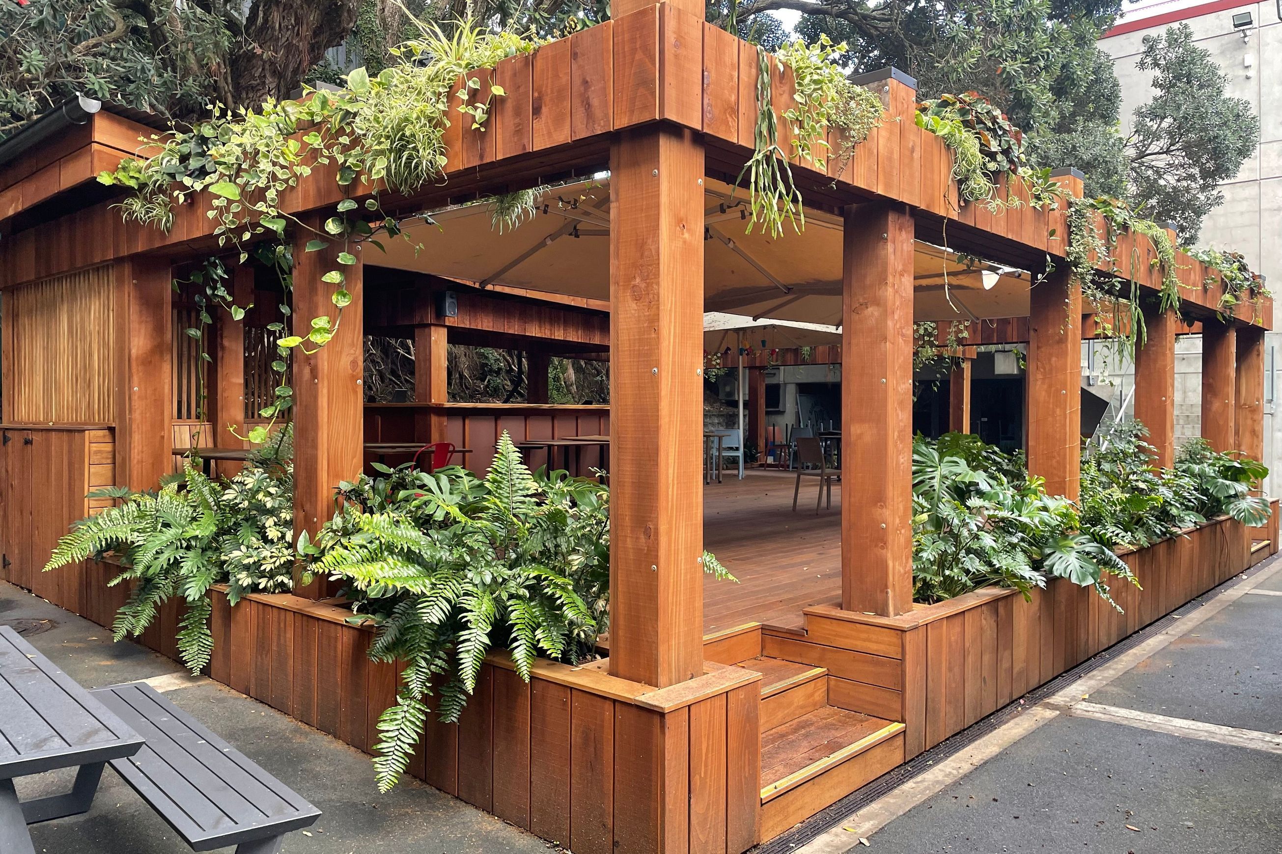 Outdoor Plant Hire | Hire Plants