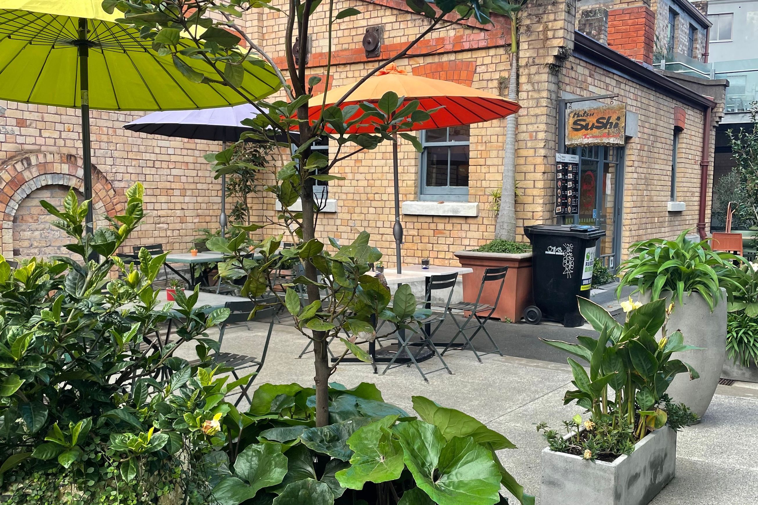 Outdoor Plant Hire | Hire Plants