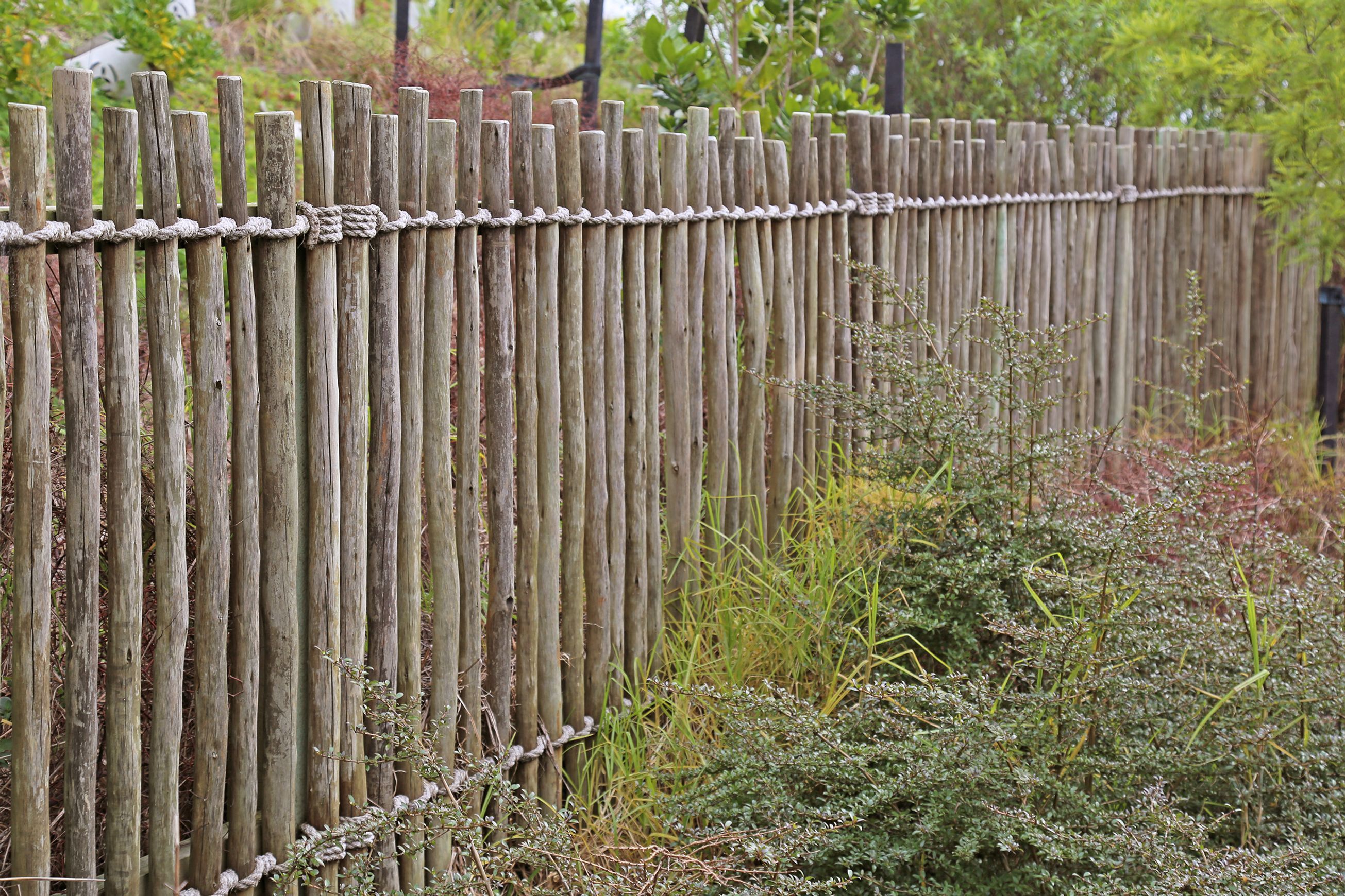 Eucalypt Fencing Panels & Poles