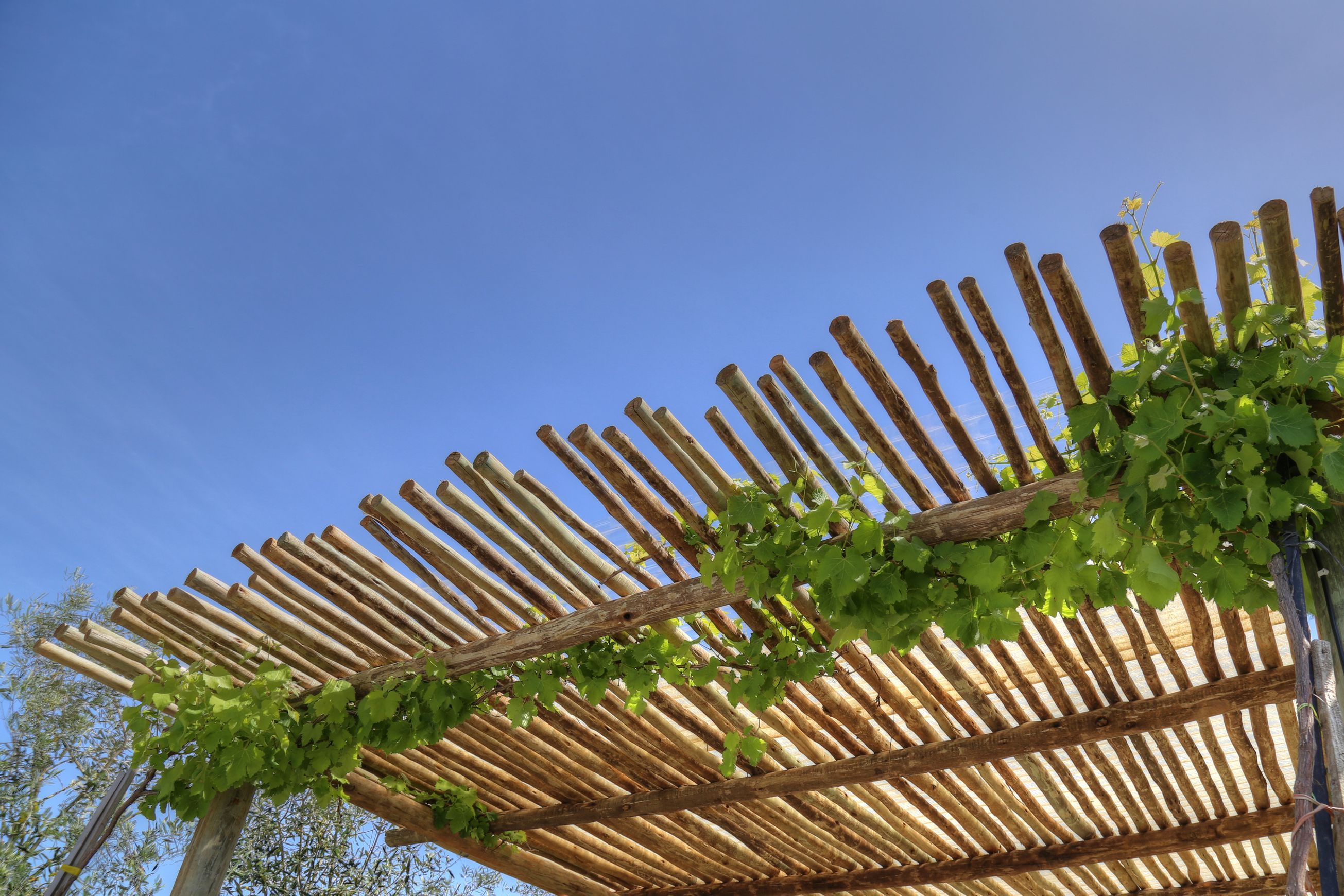 Eucalypt Fencing Panels & Poles