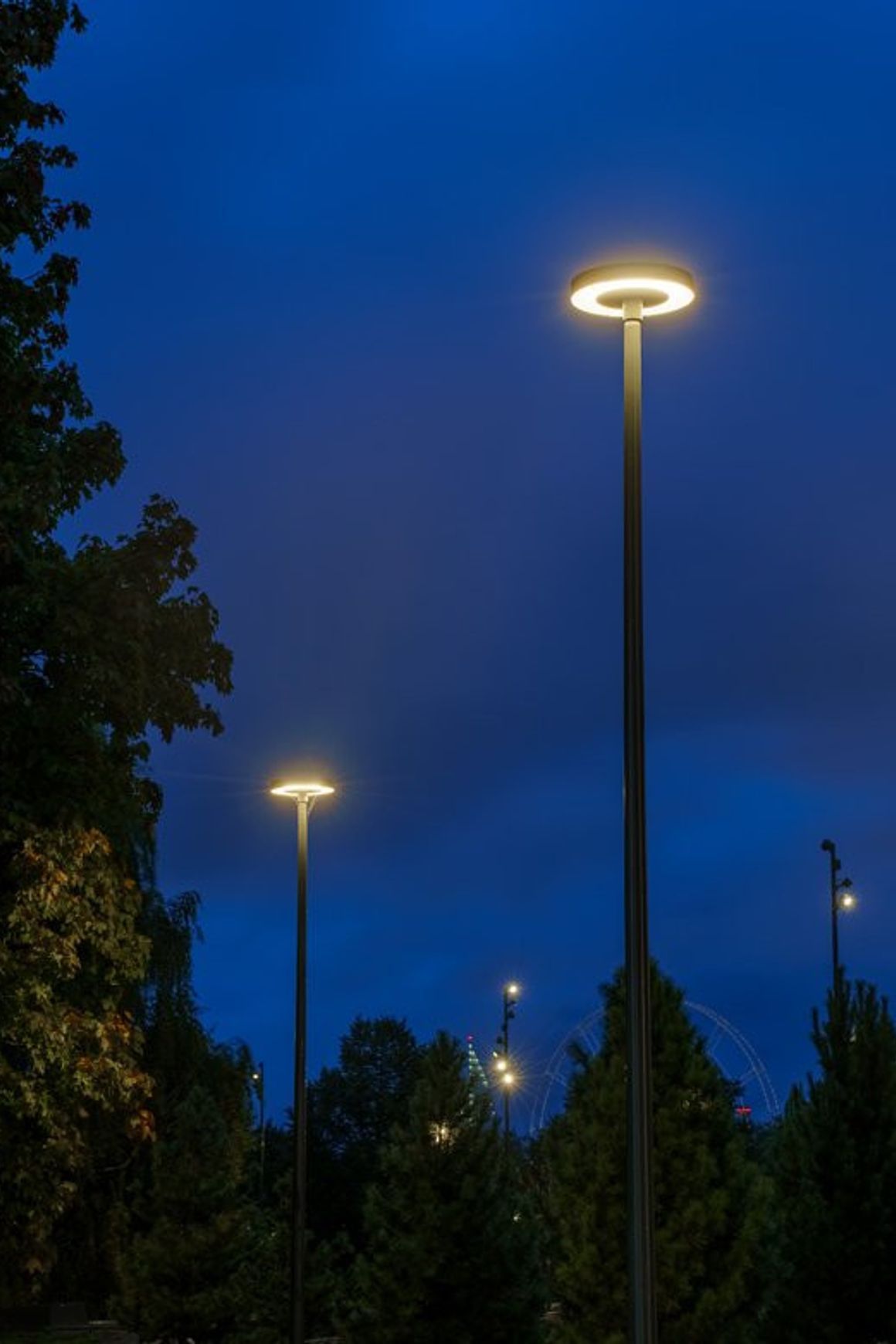 Pole Light Urban Distribution Rotosymmetric Cut Off