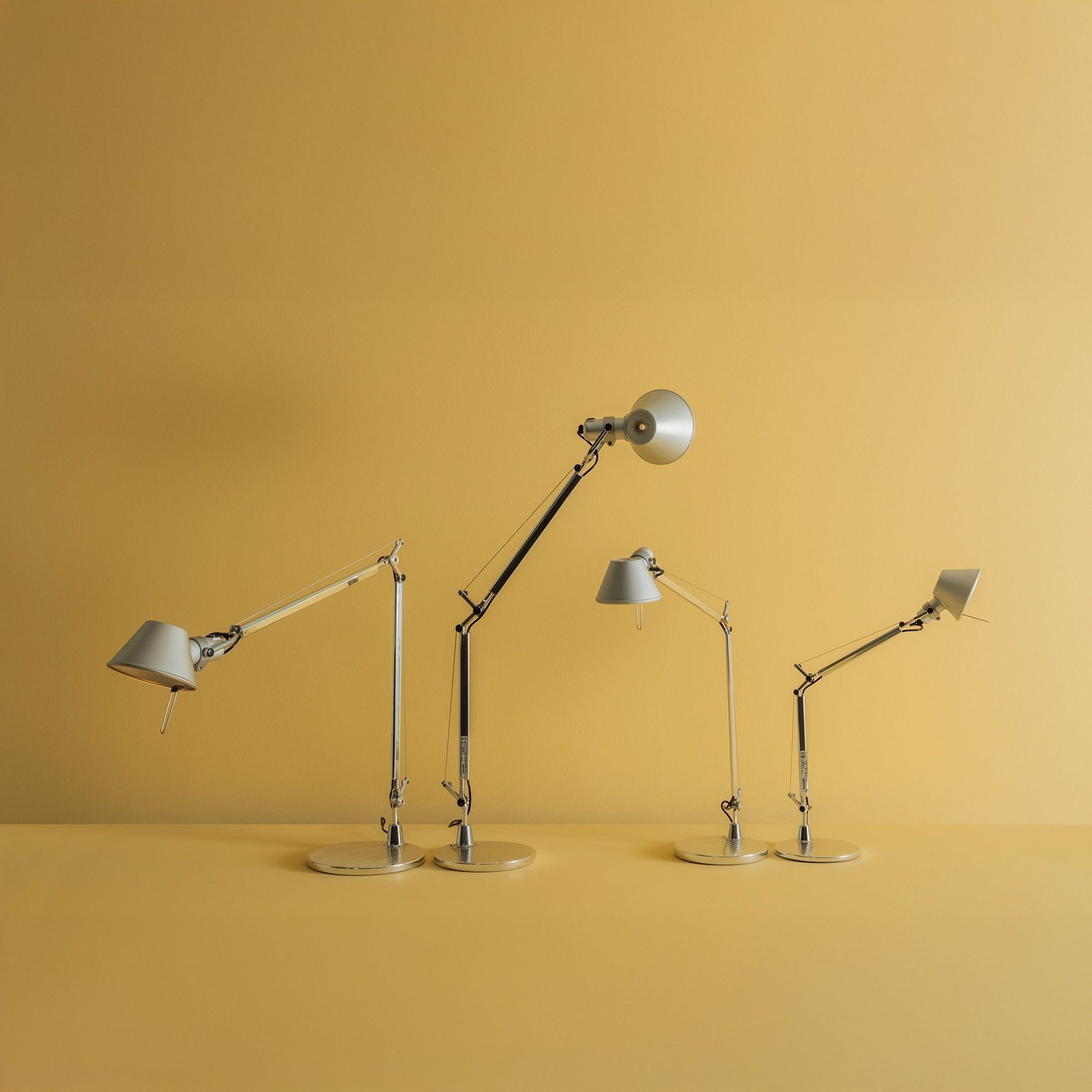 Tolomeo Standard