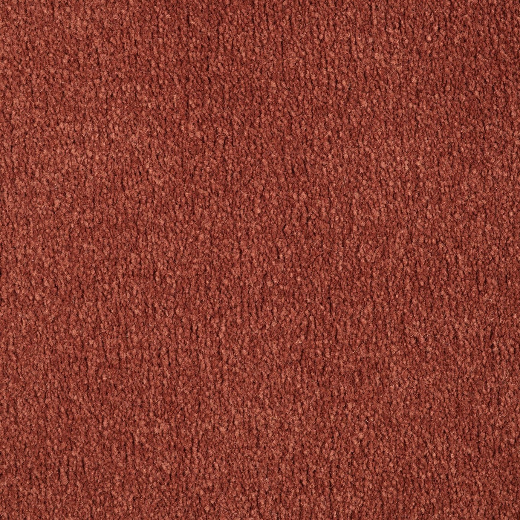 Evoke 2613