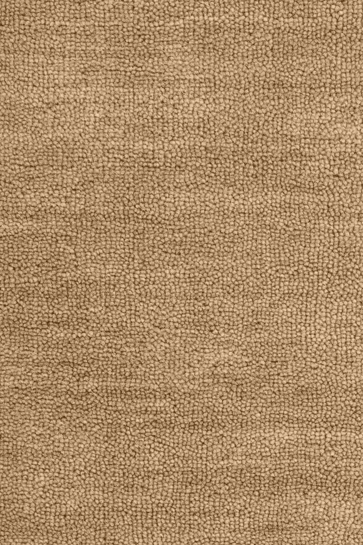 Baya Sandringham 100% NZ Wool Rug - Putty