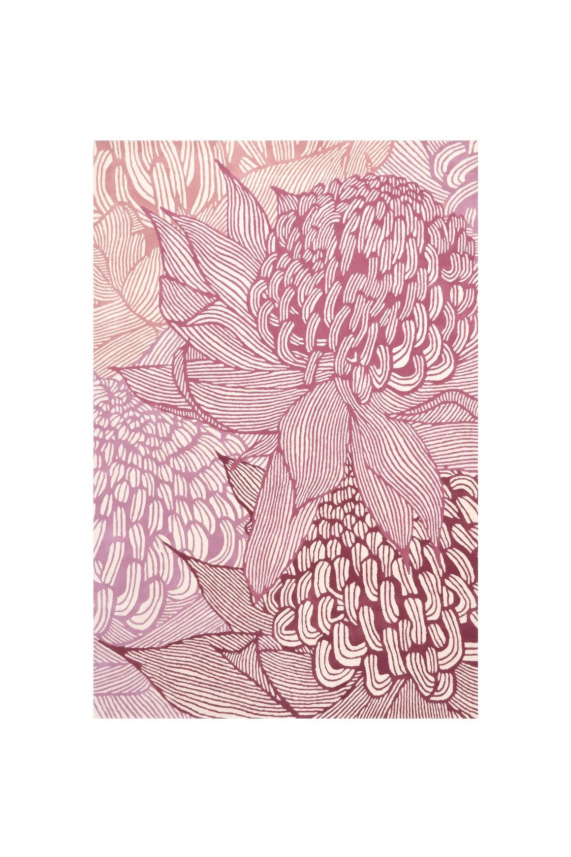 Telopea Bloom l Hand Tufted Rugs