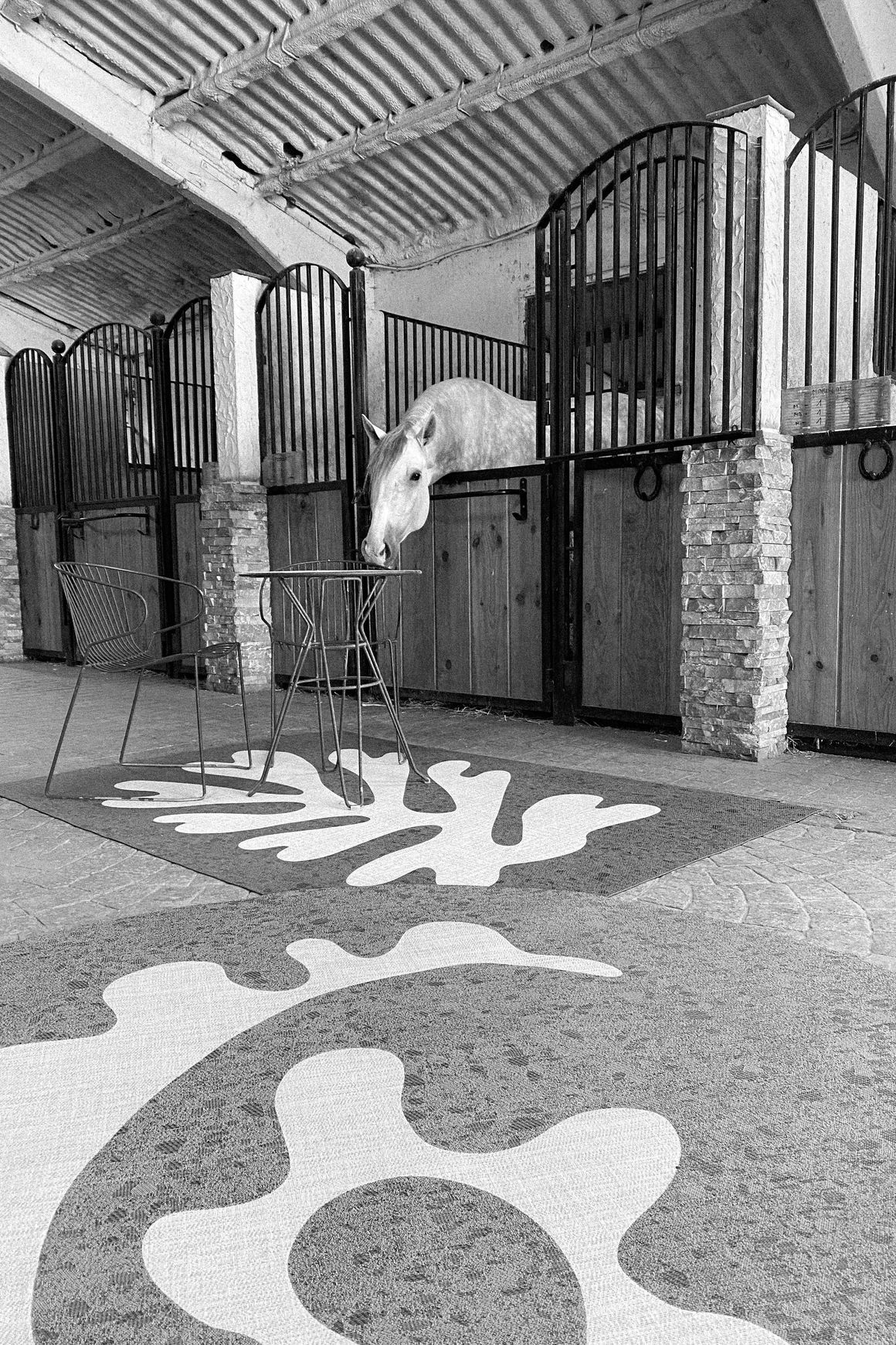 WOOP+ntgrate indoor/outdoor rugs
