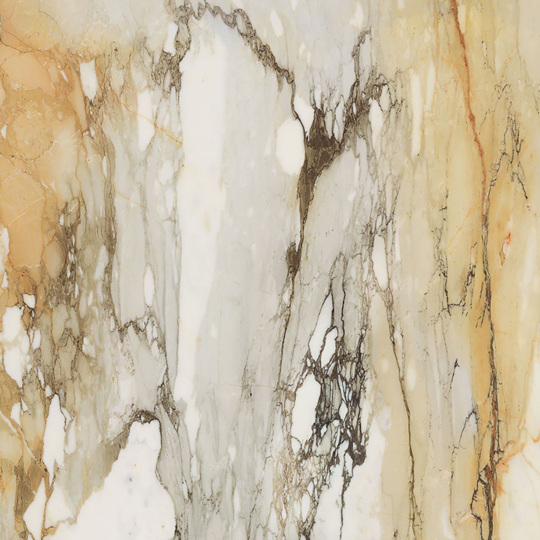 Bianco Collection | Floor & Wall Tile