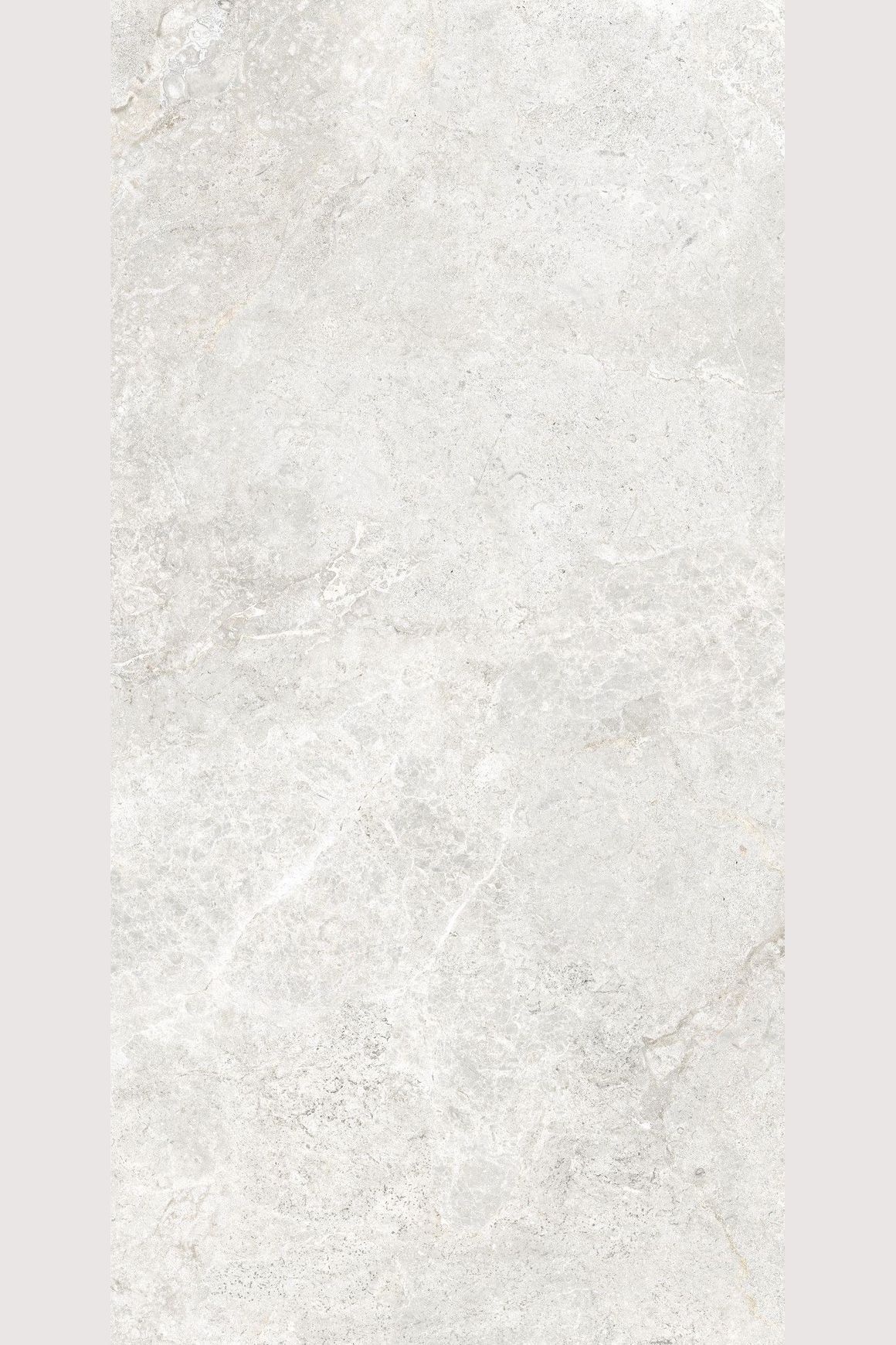 Arctic Tundra White Matt 60x120